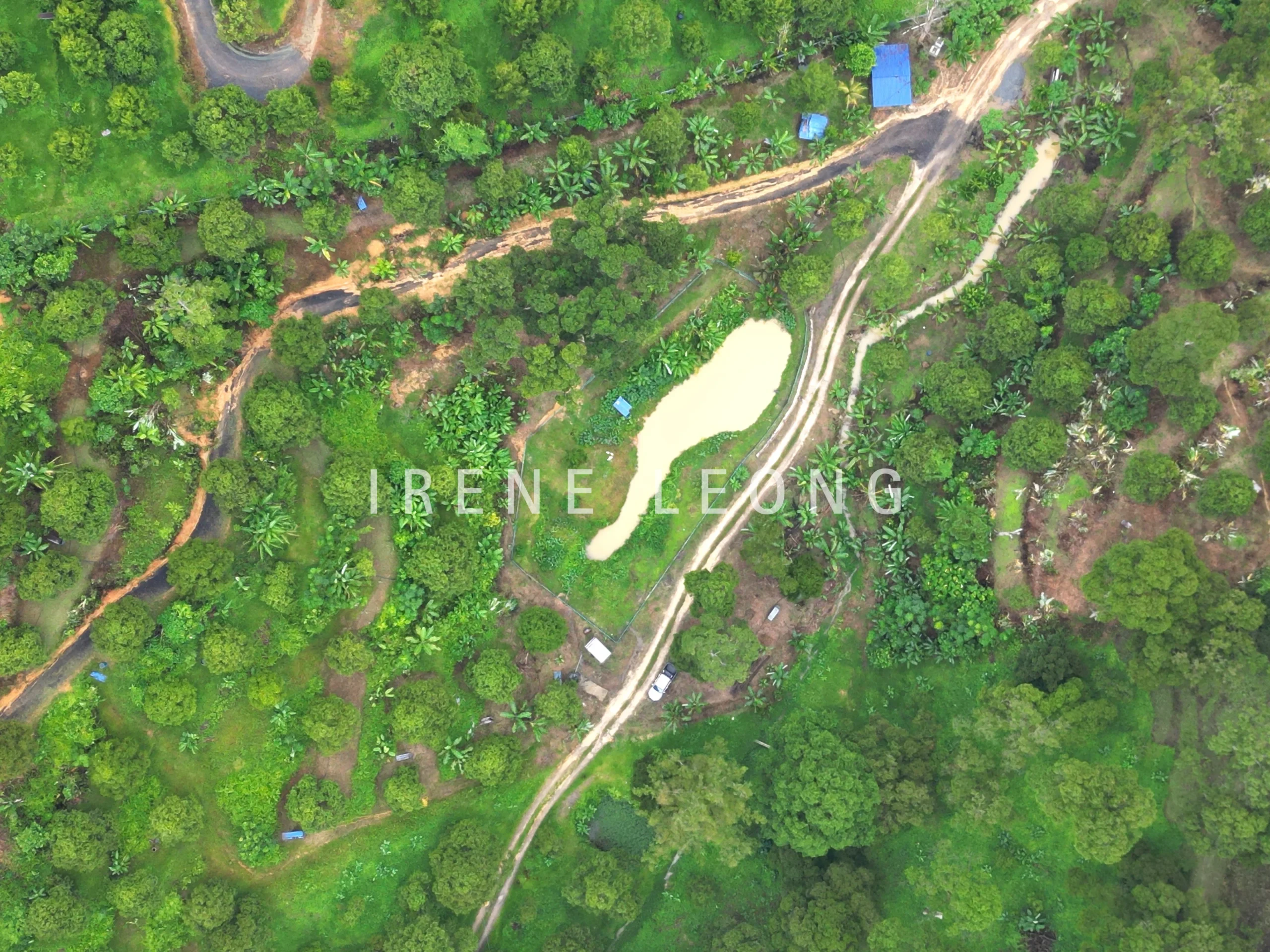 DJI_0434