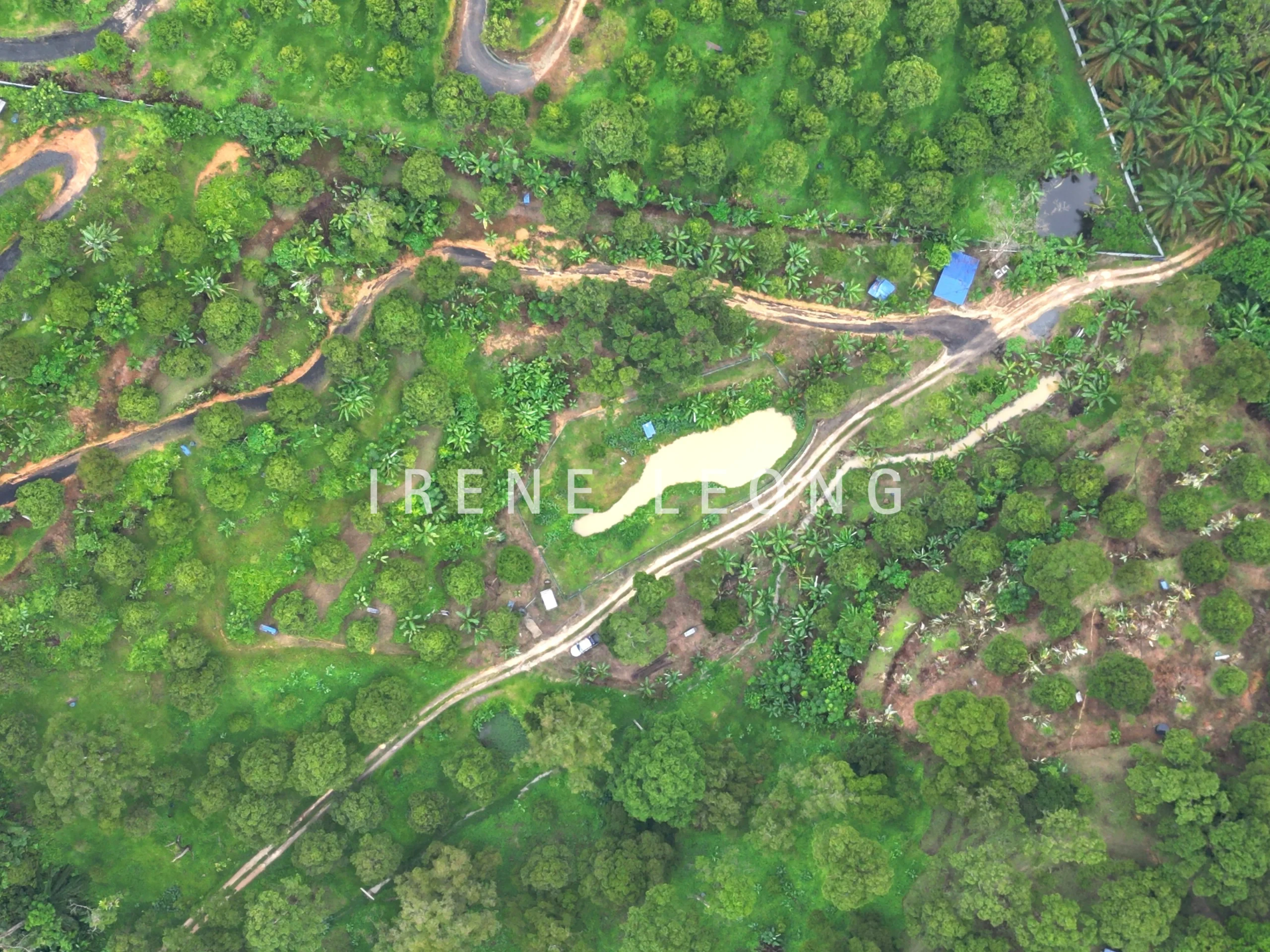 DJI_0436