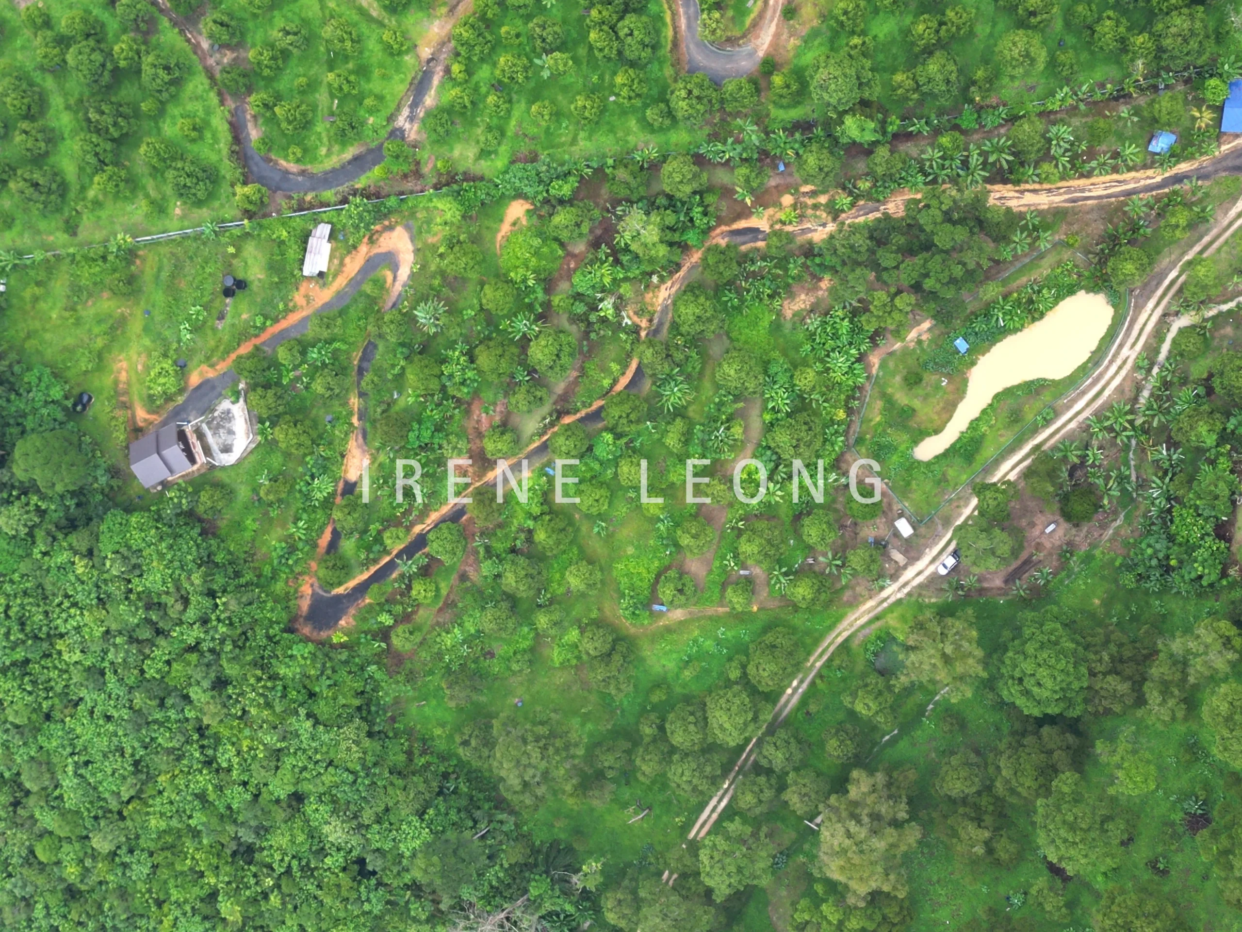 DJI_0437