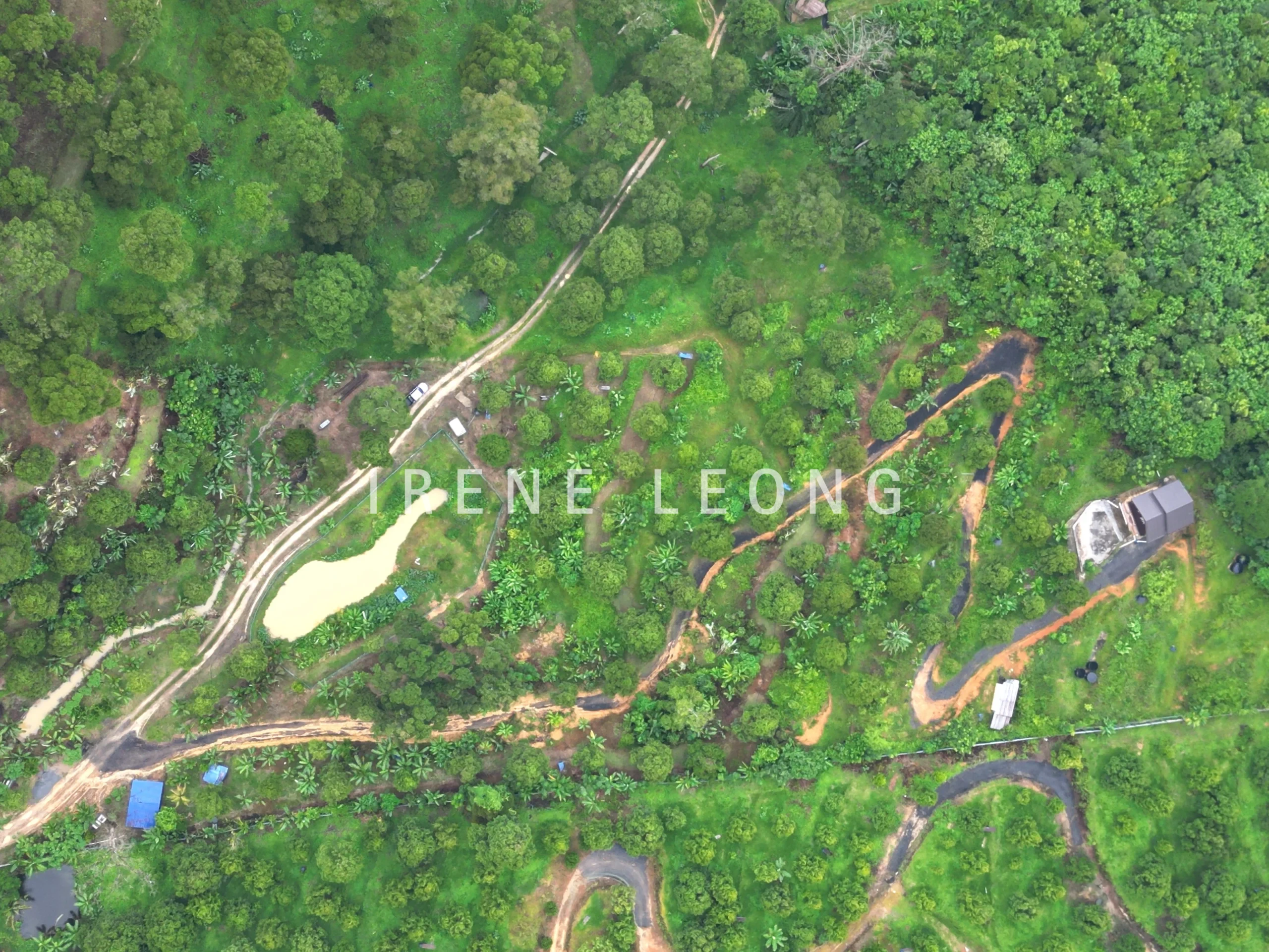 DJI_0440