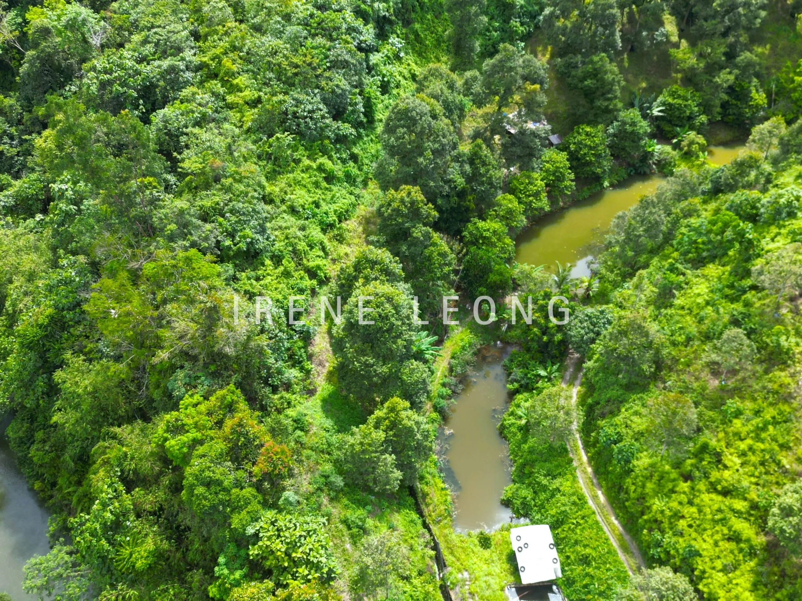 DJI_0513--crushimage