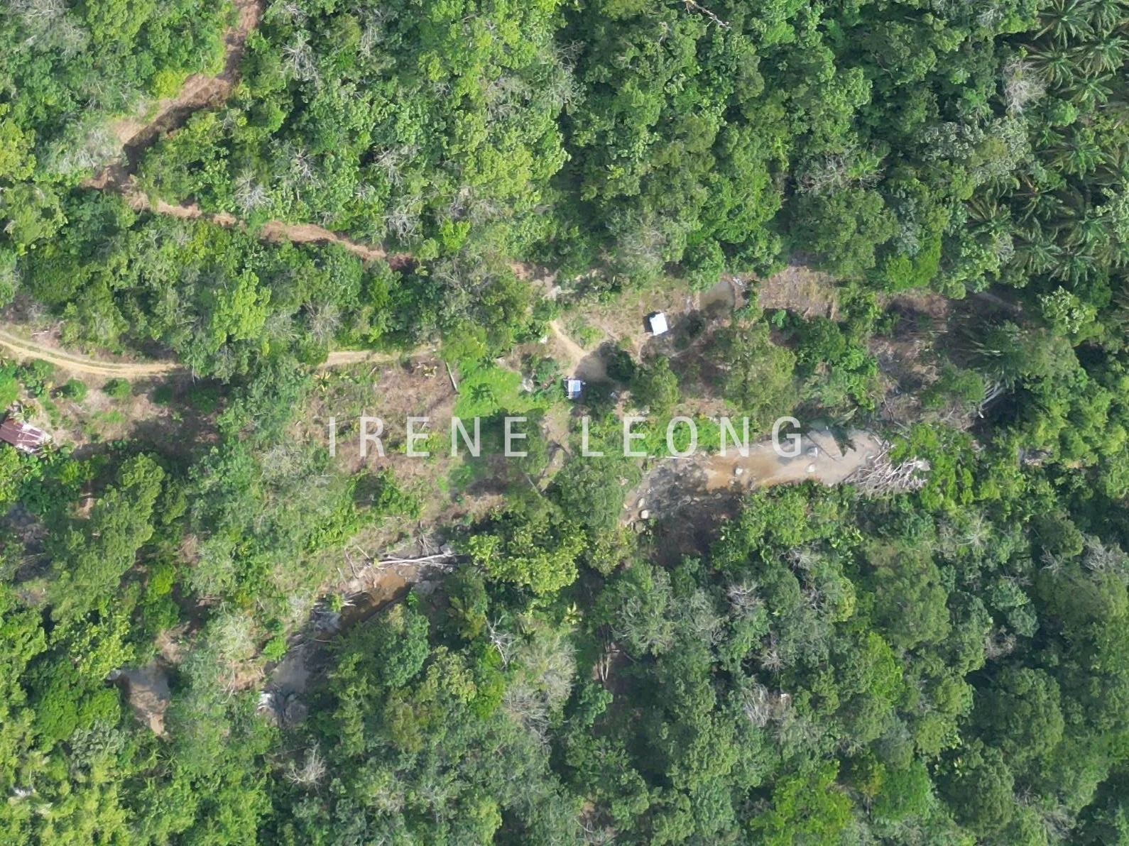 DJI_0577-CompressJPG