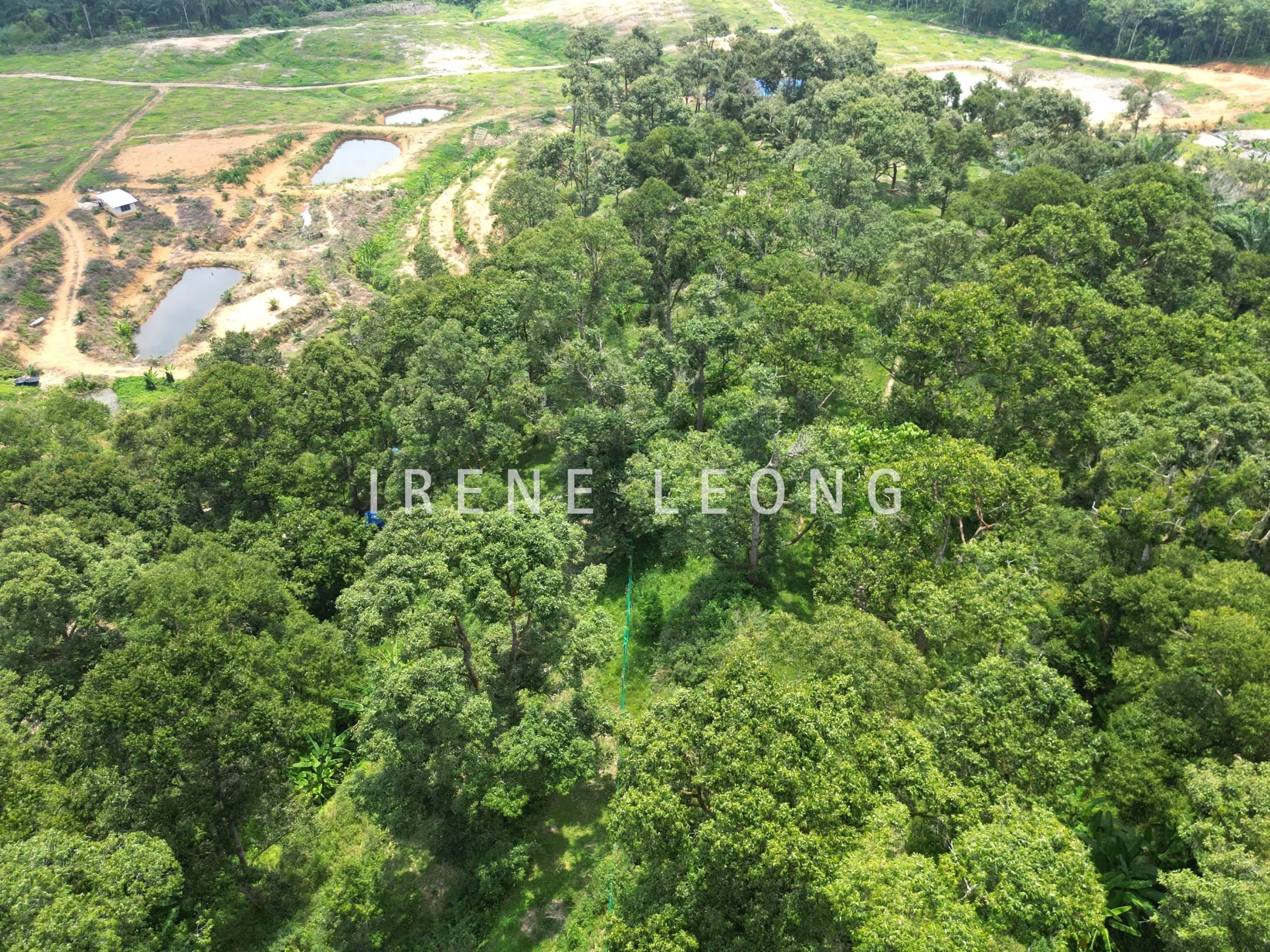 DJI_0637-crushimage