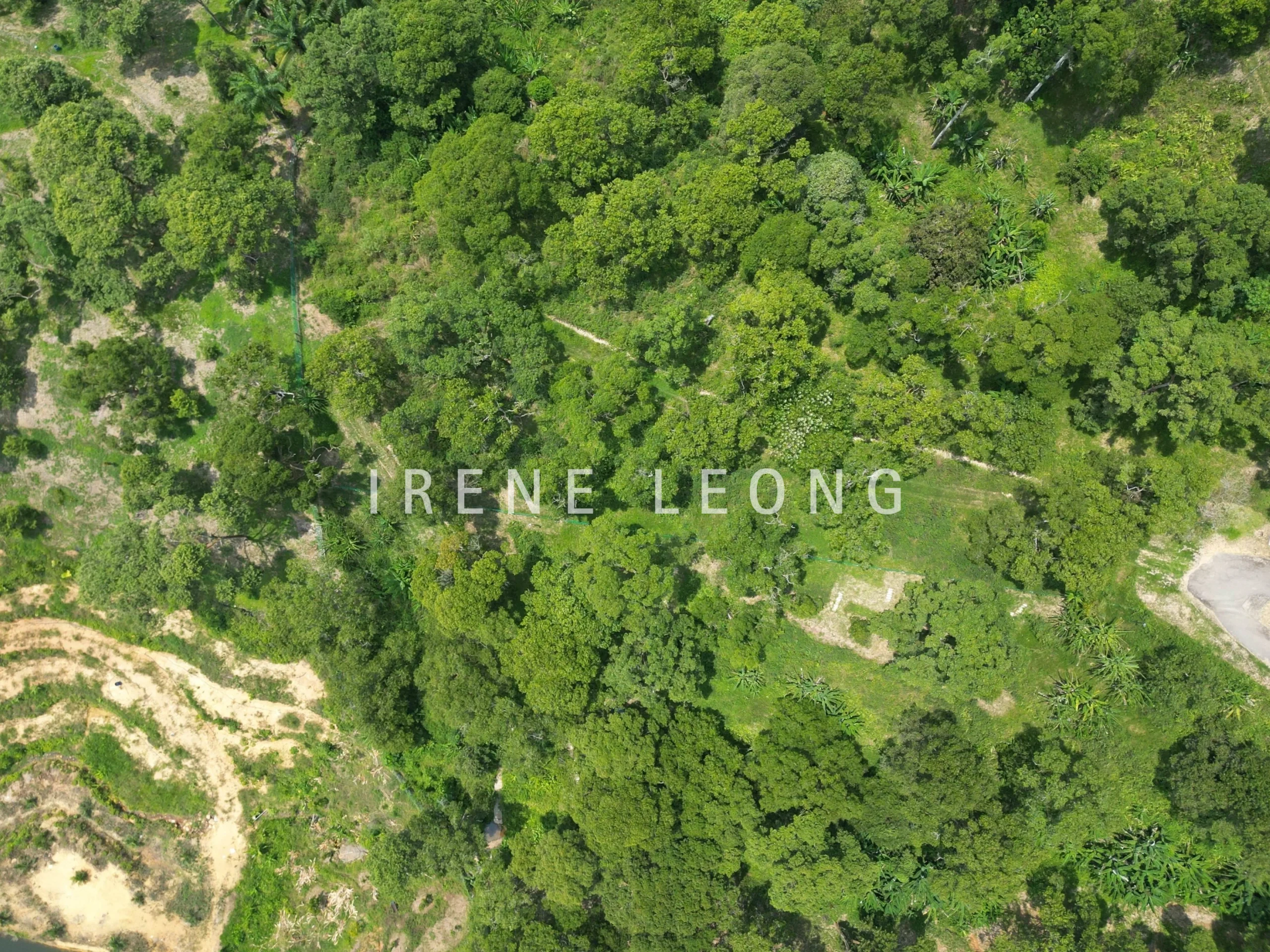 DJI_0640-crushimage