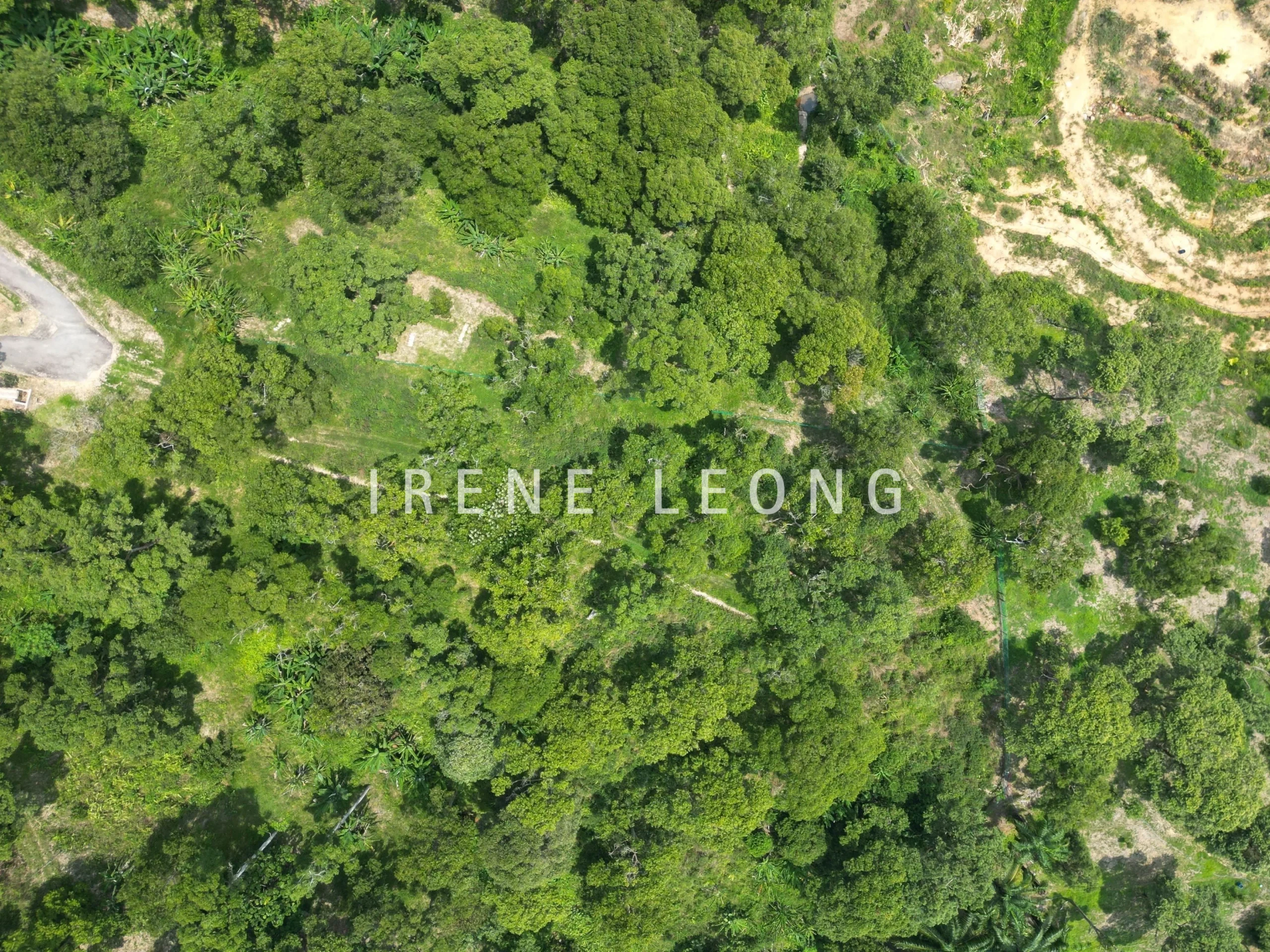 DJI_0641-crushimage