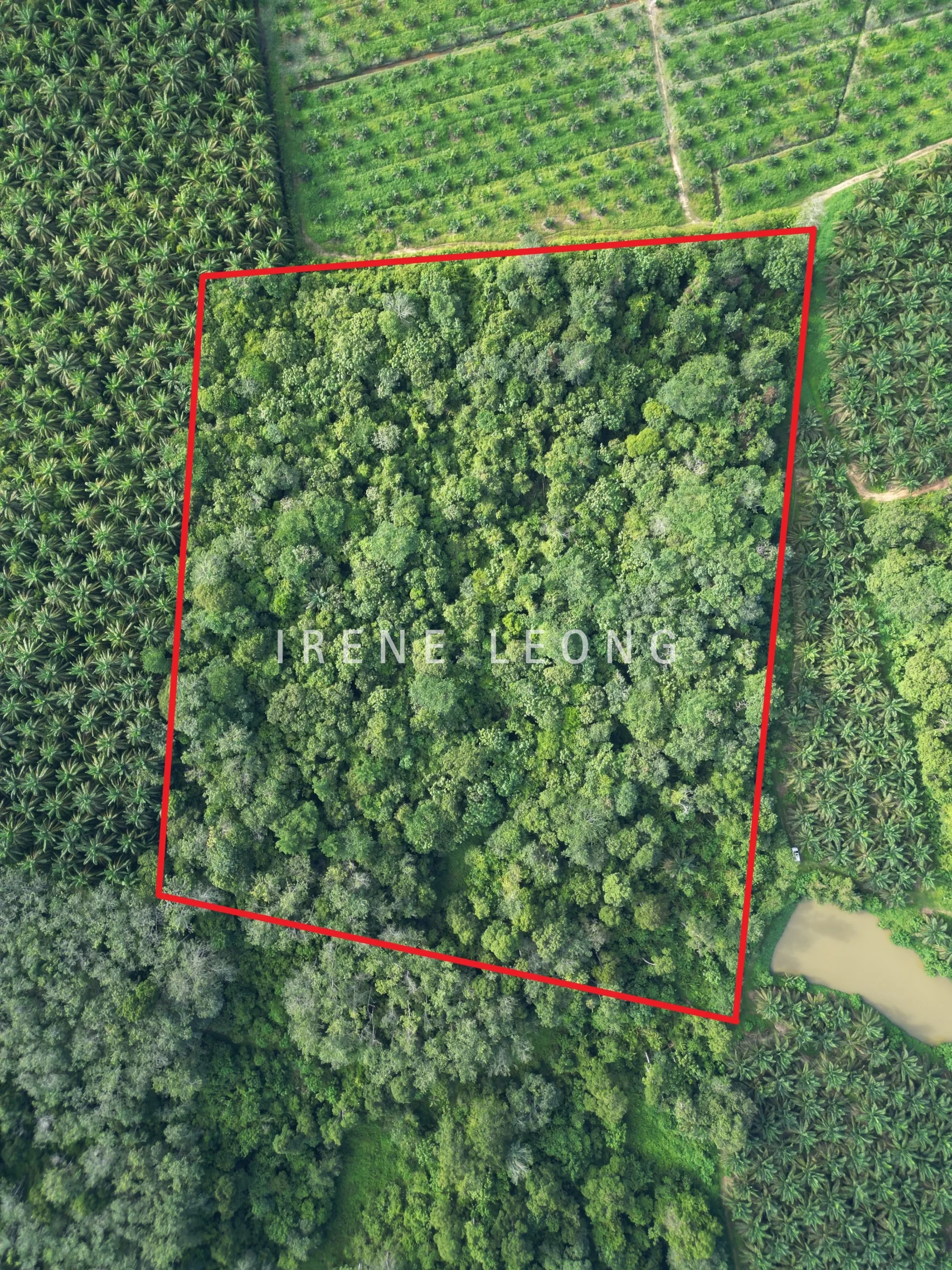 DJI_0768-1