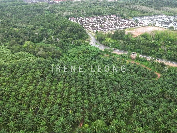 DJI_0814_cropped