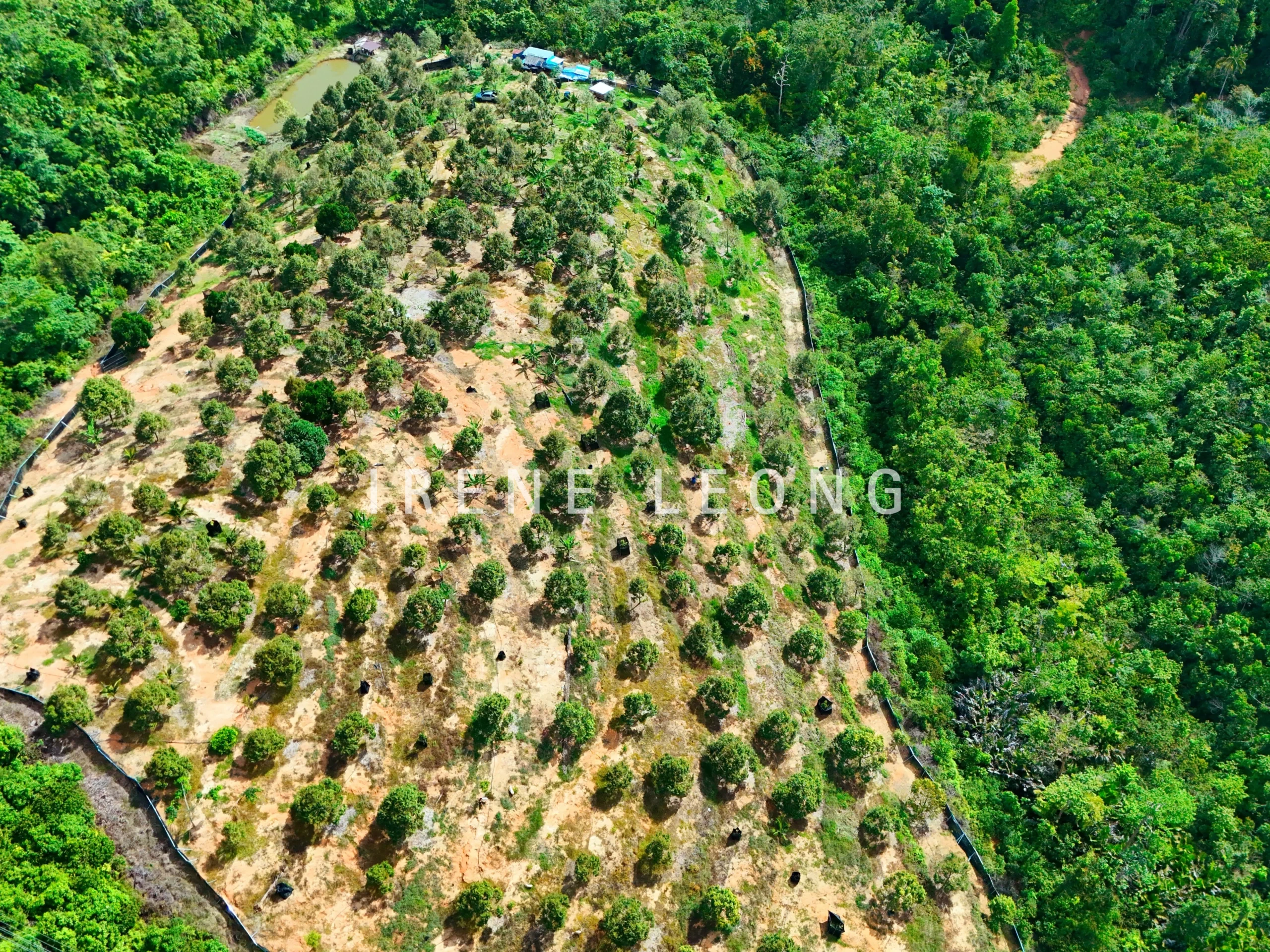 DJI_20240617155114_0025_D_cropped