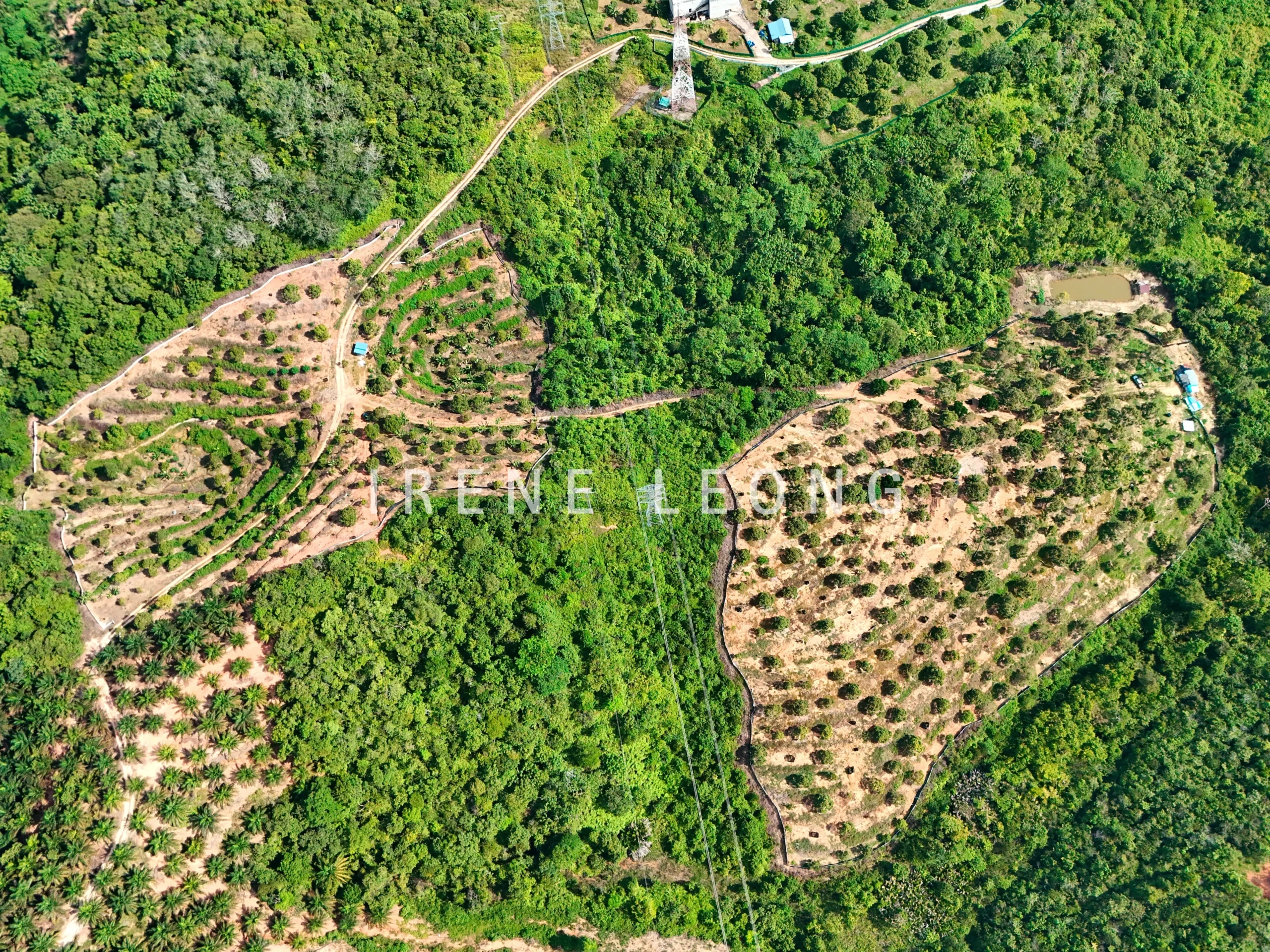 DJI_20240617155300_0029_D-1
