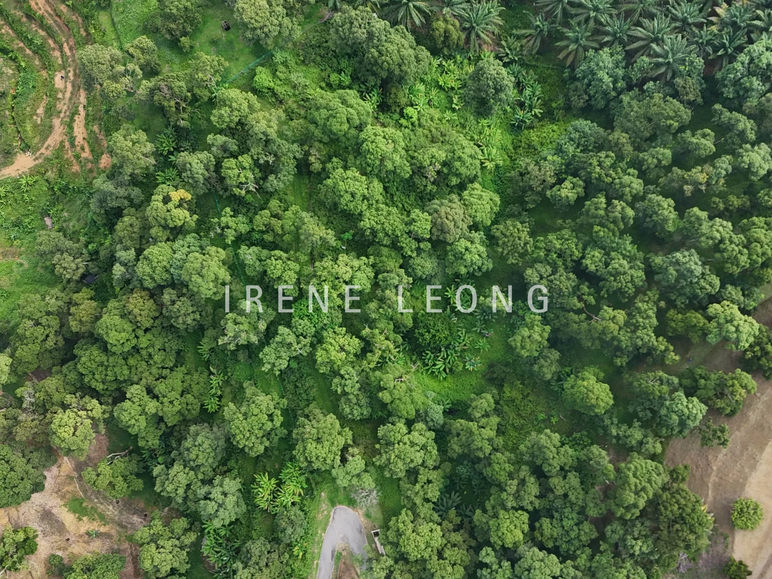 DJI_20240621100115_0019_D-crushimage