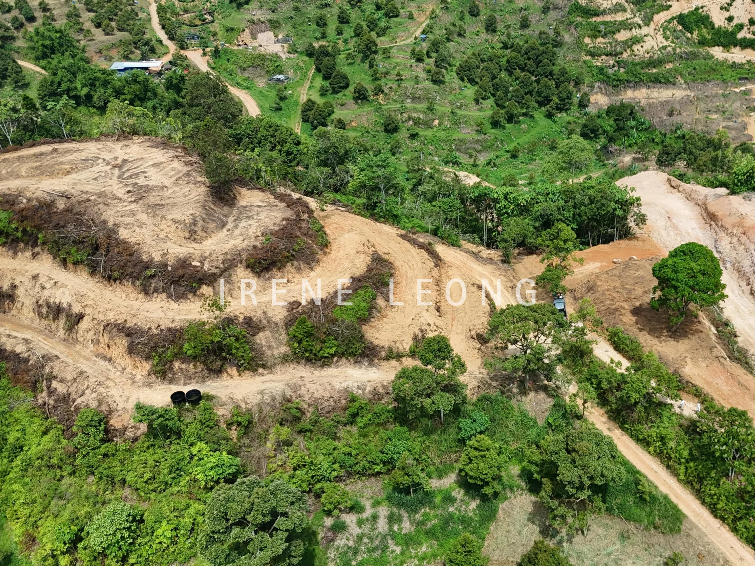 DJI_20240720143942_0042_D_cropped
