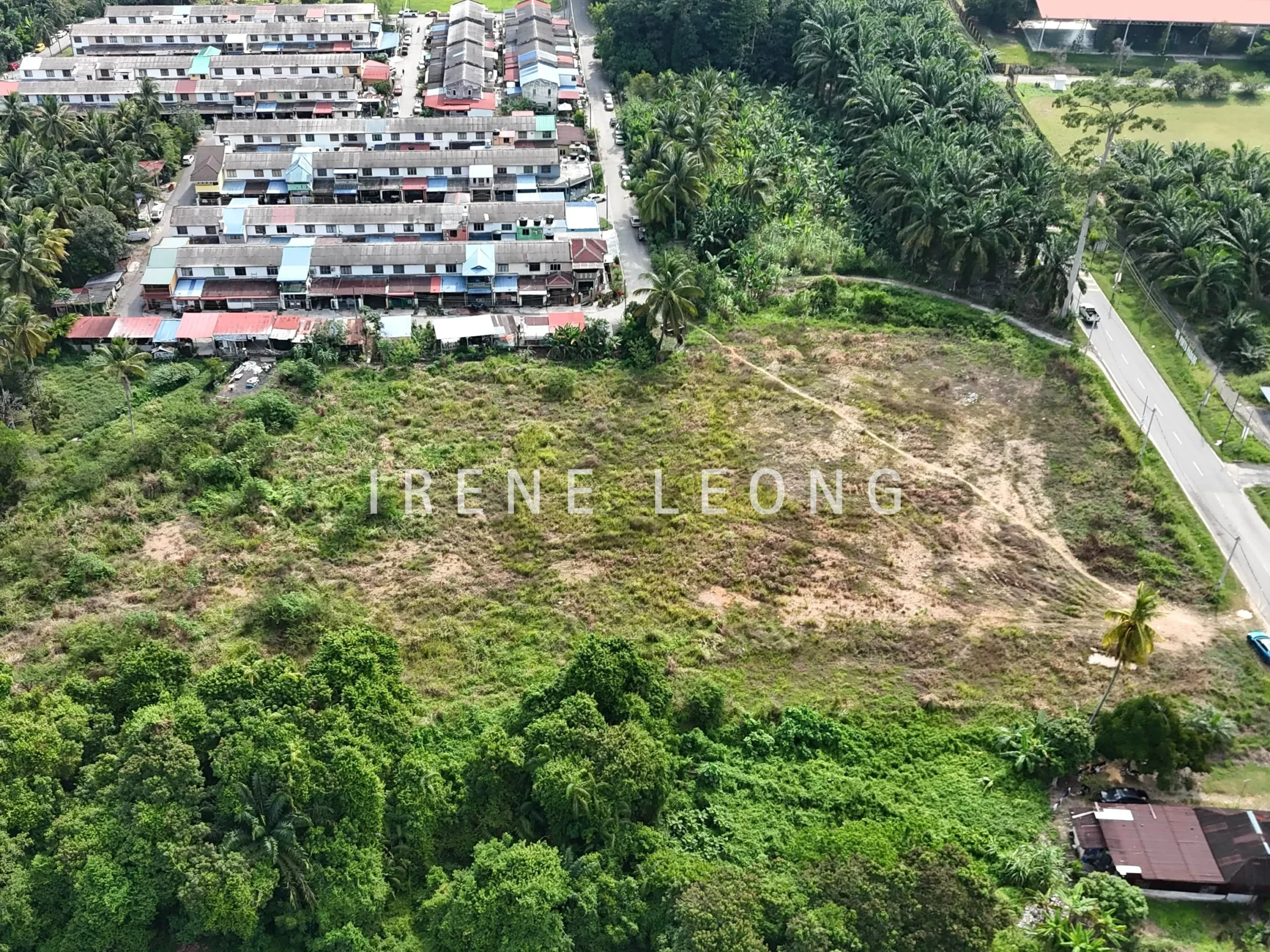 DJI_20240720162136_0053_D_cropped