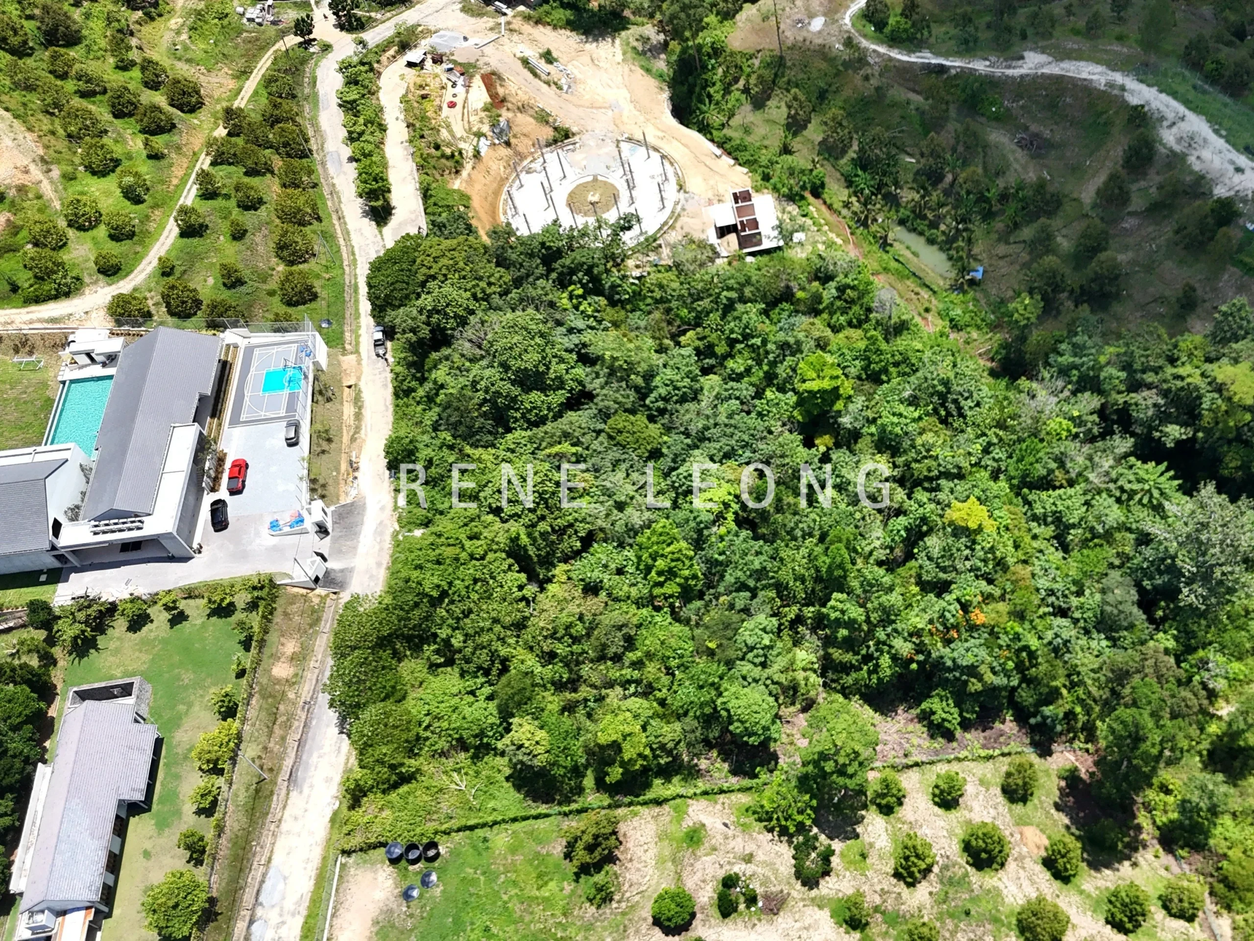 DJI_20240810132733_0053_D_cropped