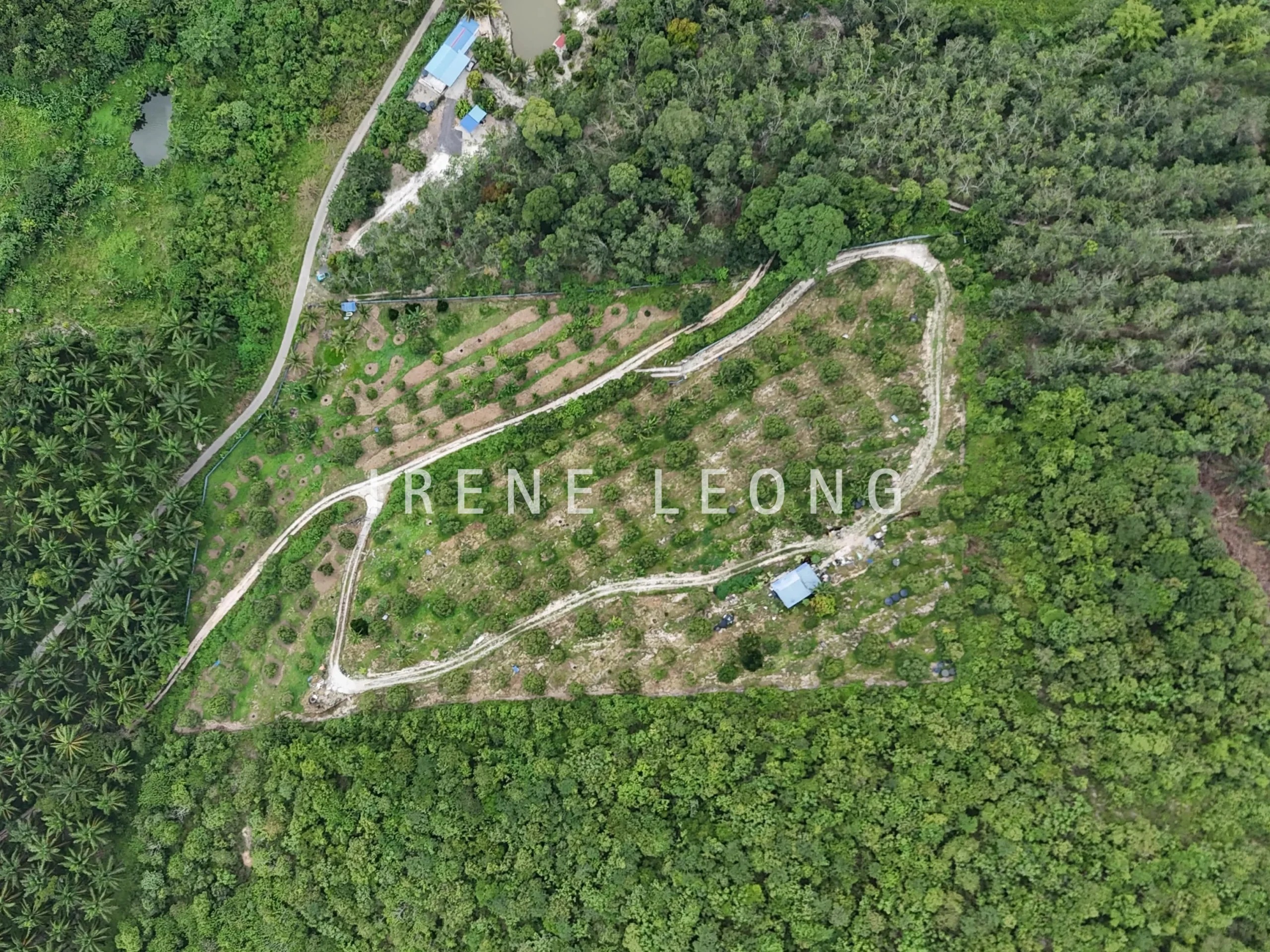 DJI_20240819152315_0006_D-crushimage_cropped