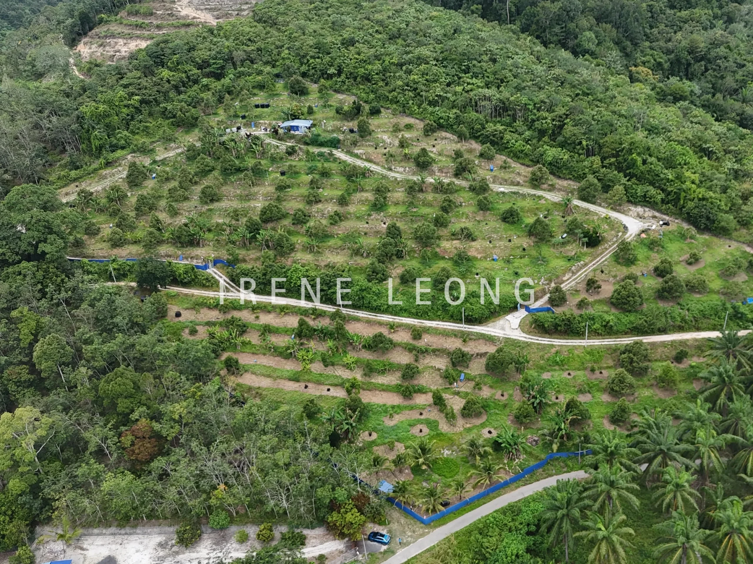 DJI_20240819152426_0007_D-crushimage_cropped