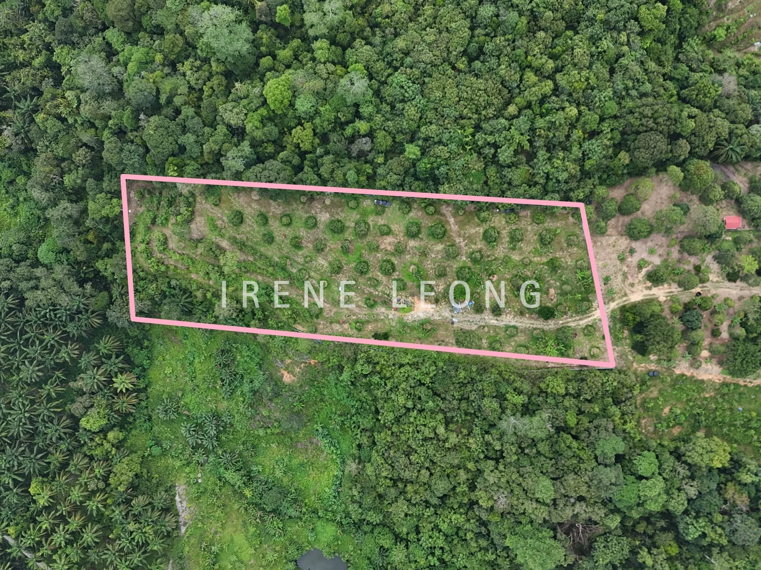 DJI_20240819152751_0015_D_1-crushimage_cropped