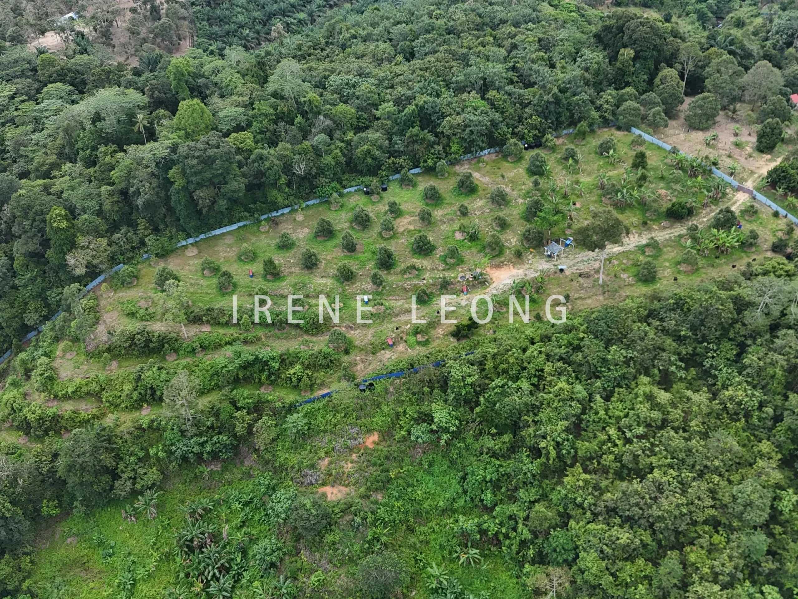 DJI_20240819153304_0020_D-crushimage_cropped