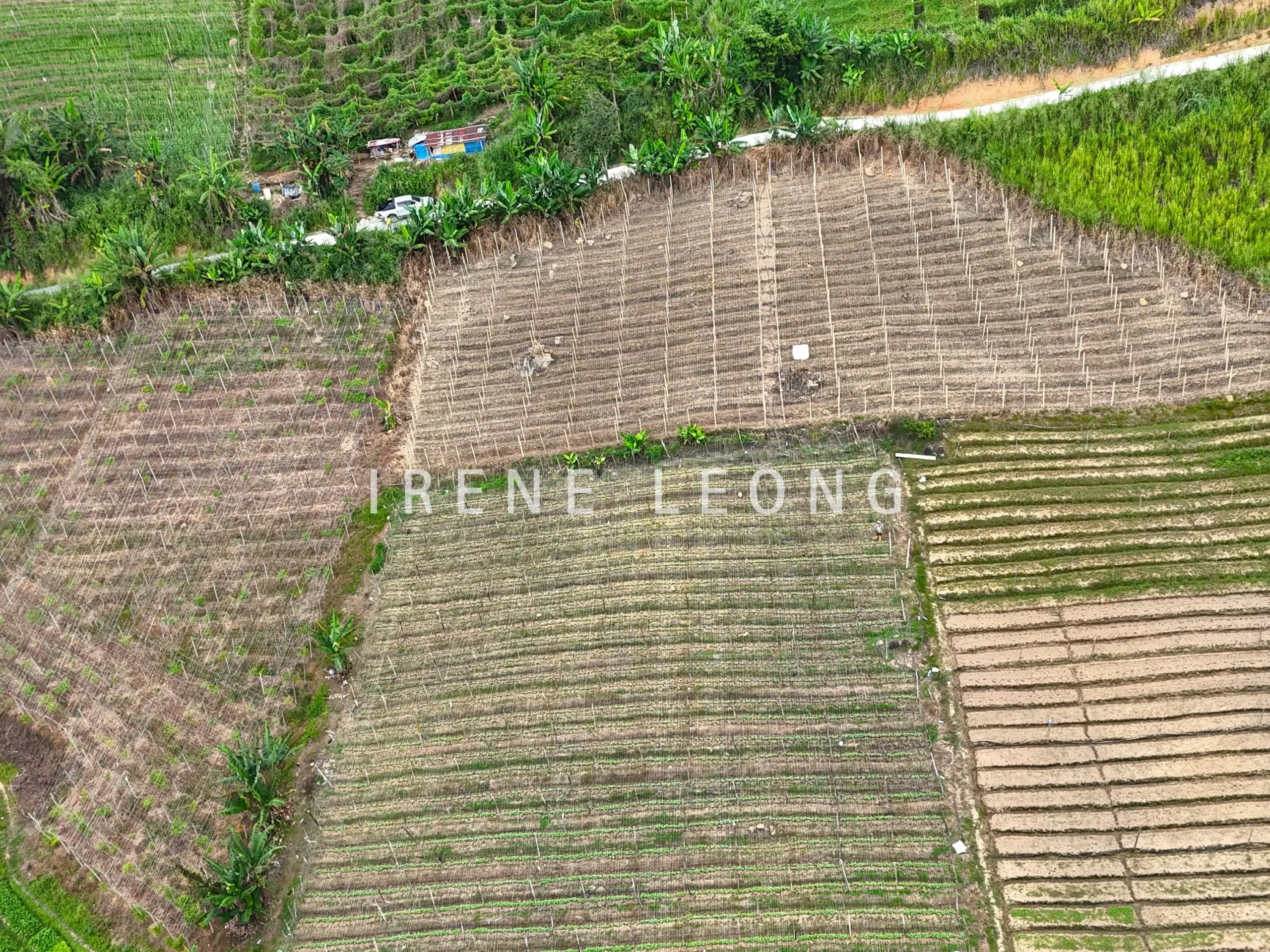DJI_20240824150411_0126_D-min