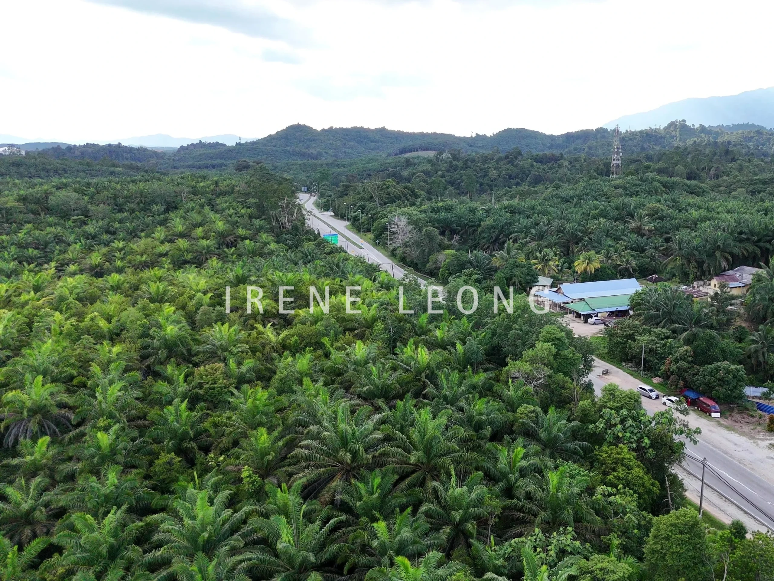 DJI_20240919174454_0541_D - frame at 0m0s