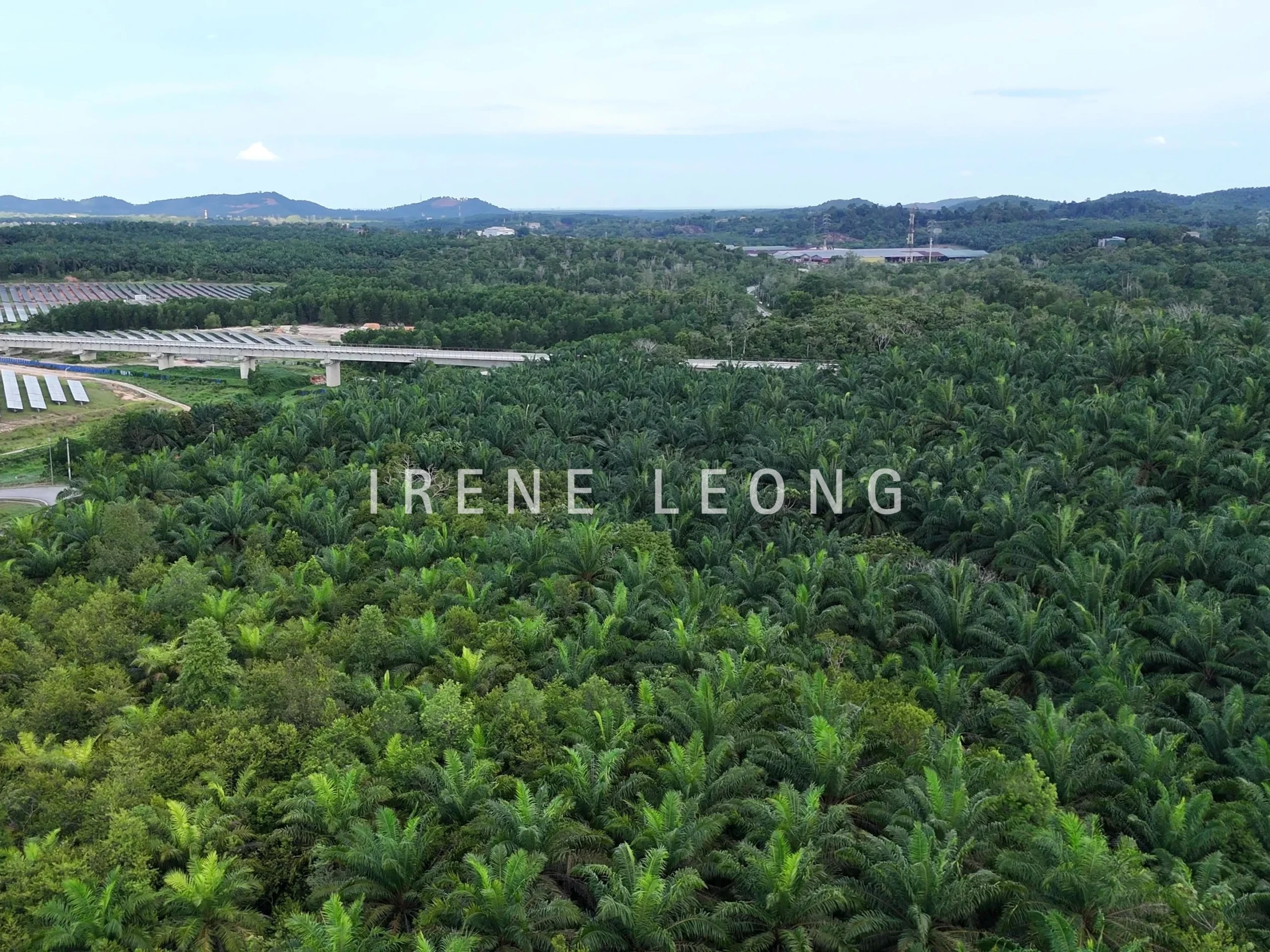 DJI_20240919174454_0541_D - frame at 0m19s