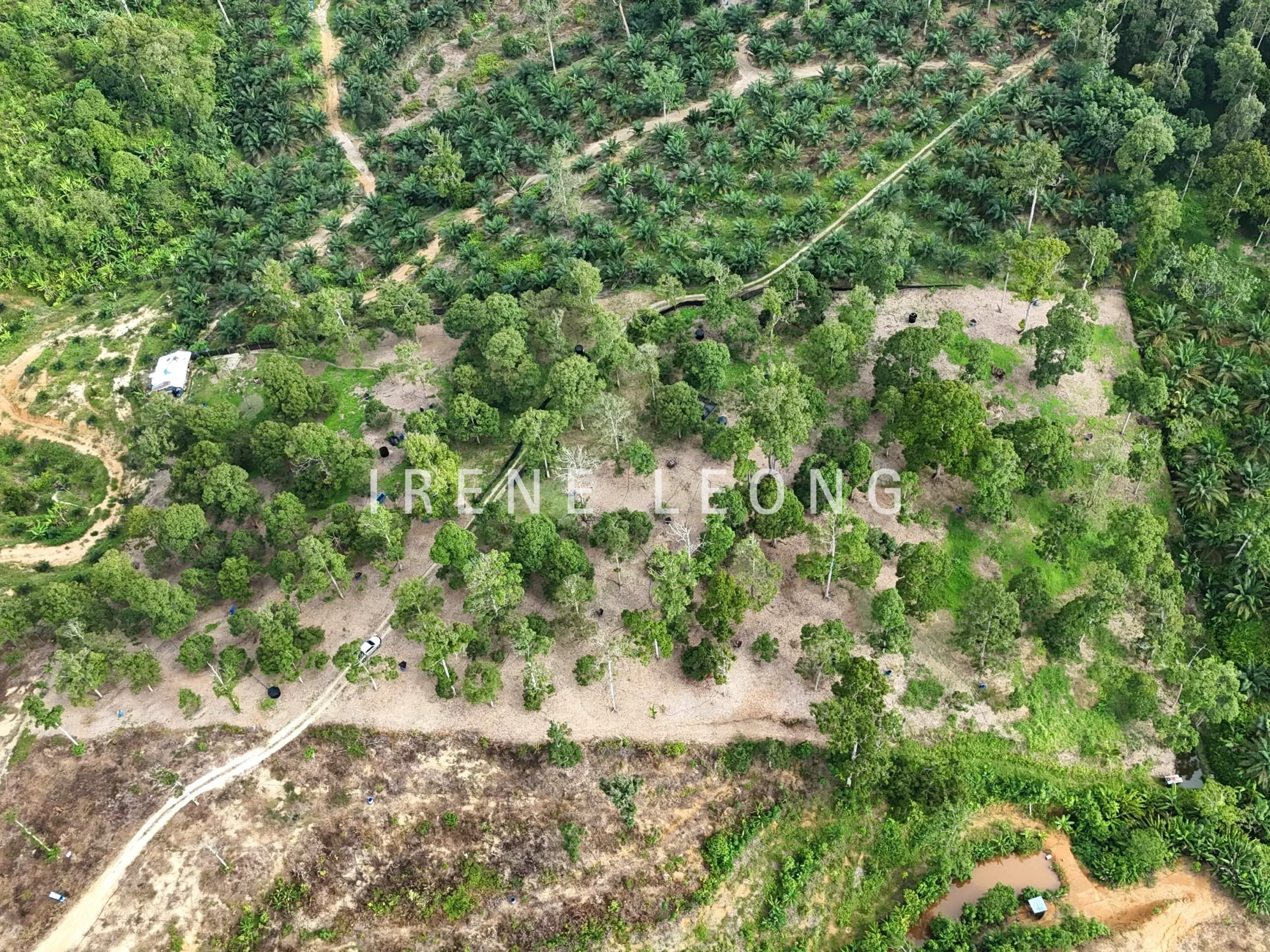 DJI_20241001164733_0571_D-min_cropped