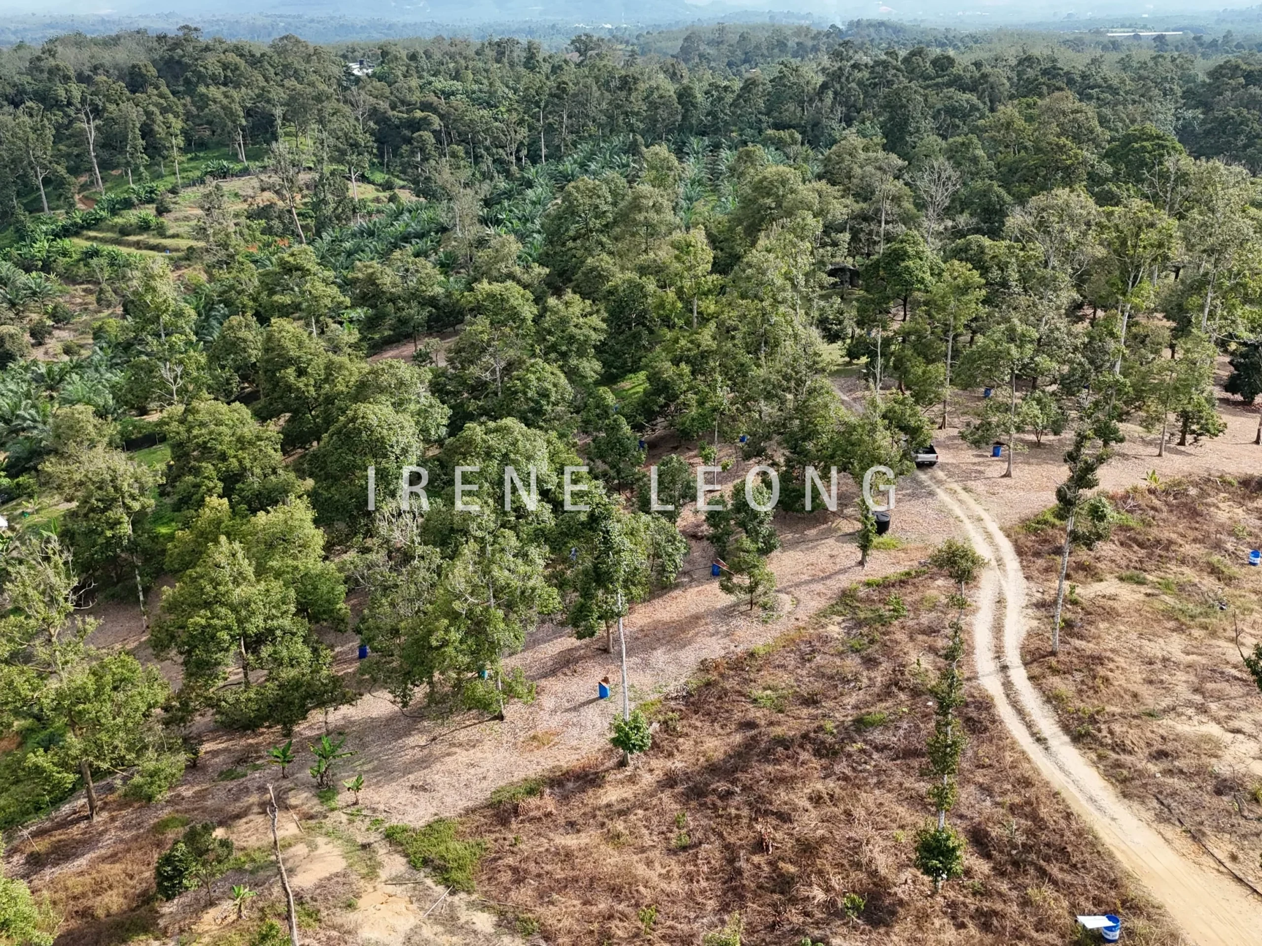 DJI_20241001164958_0576_D-min_cropped