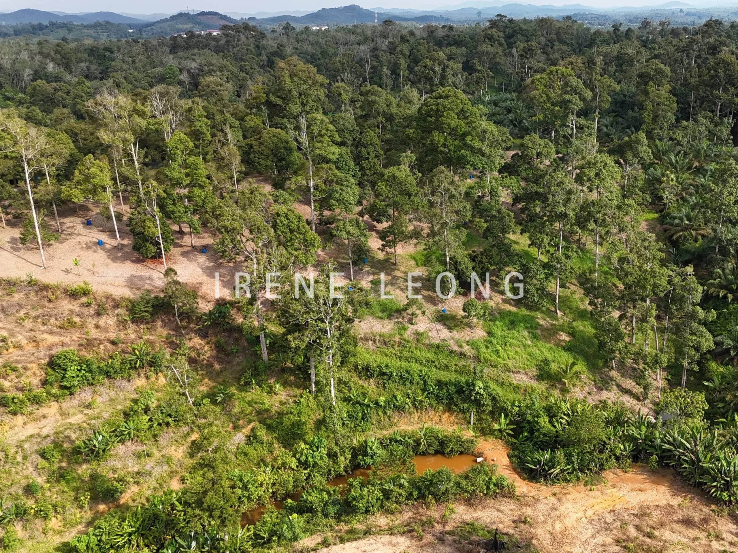 DJI_20241001165104_0579_D-min_cropped