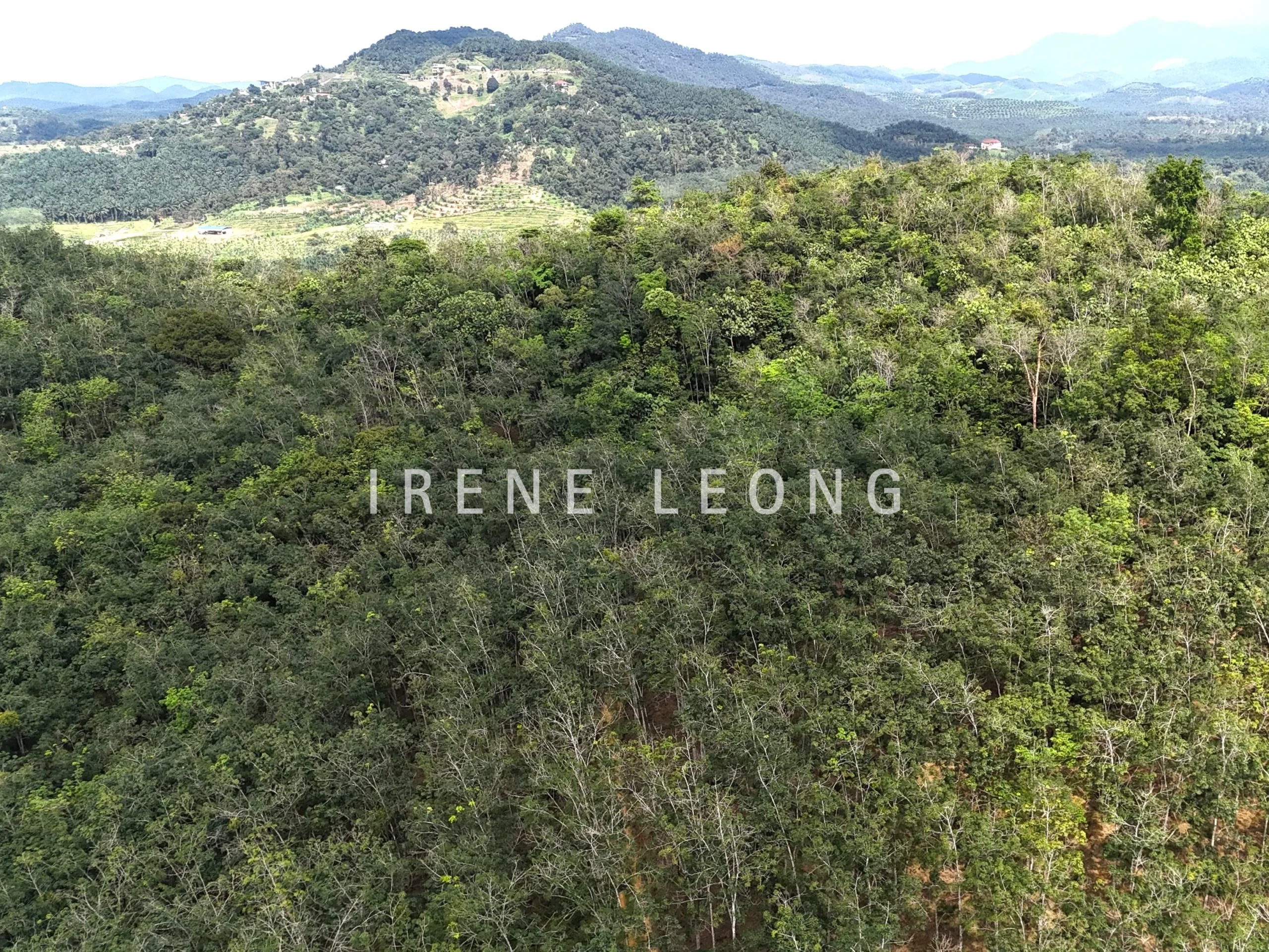 DJI_20250519150431_0030_D-min_cropped