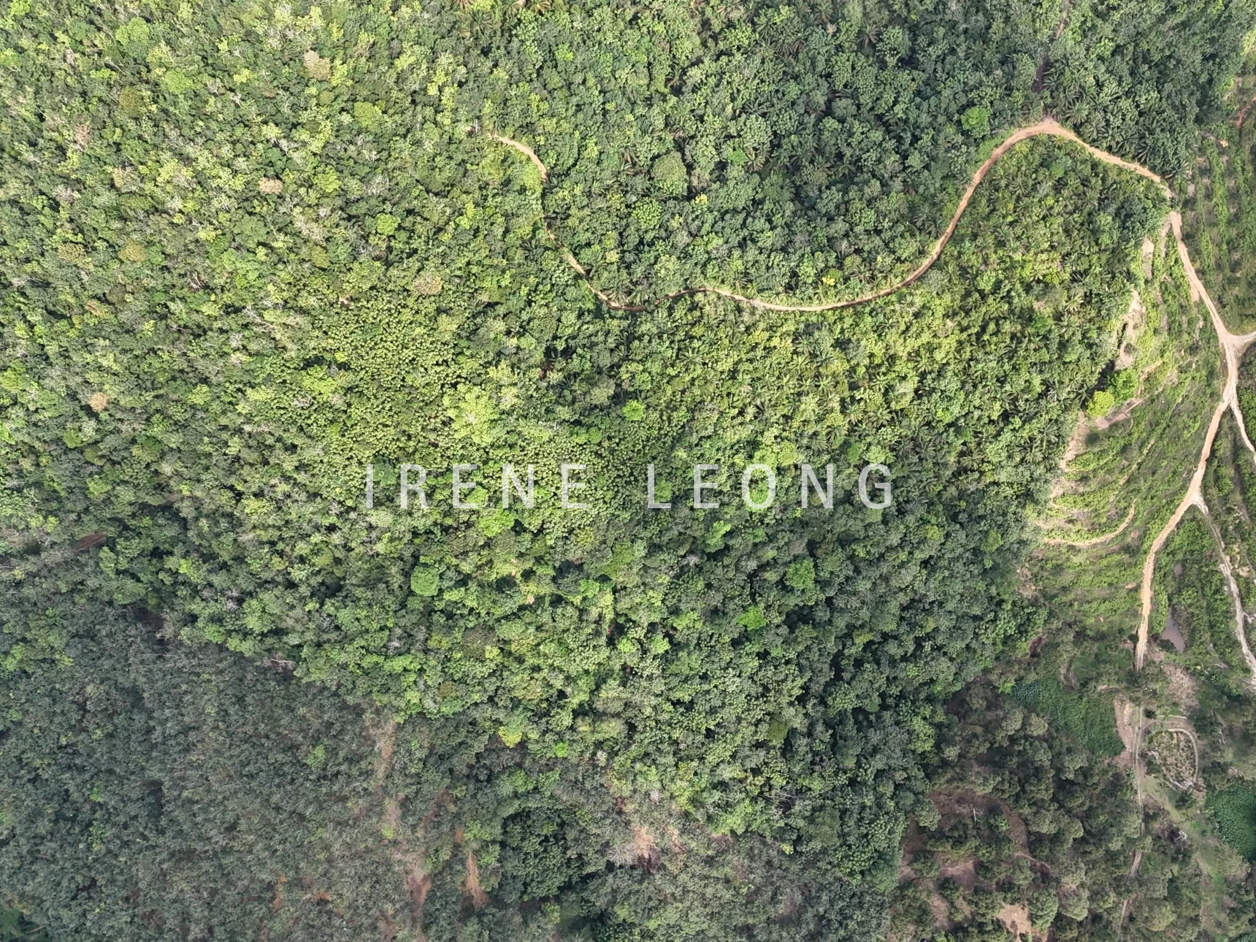 DJI_20250519150635_0034_D-min_cropped