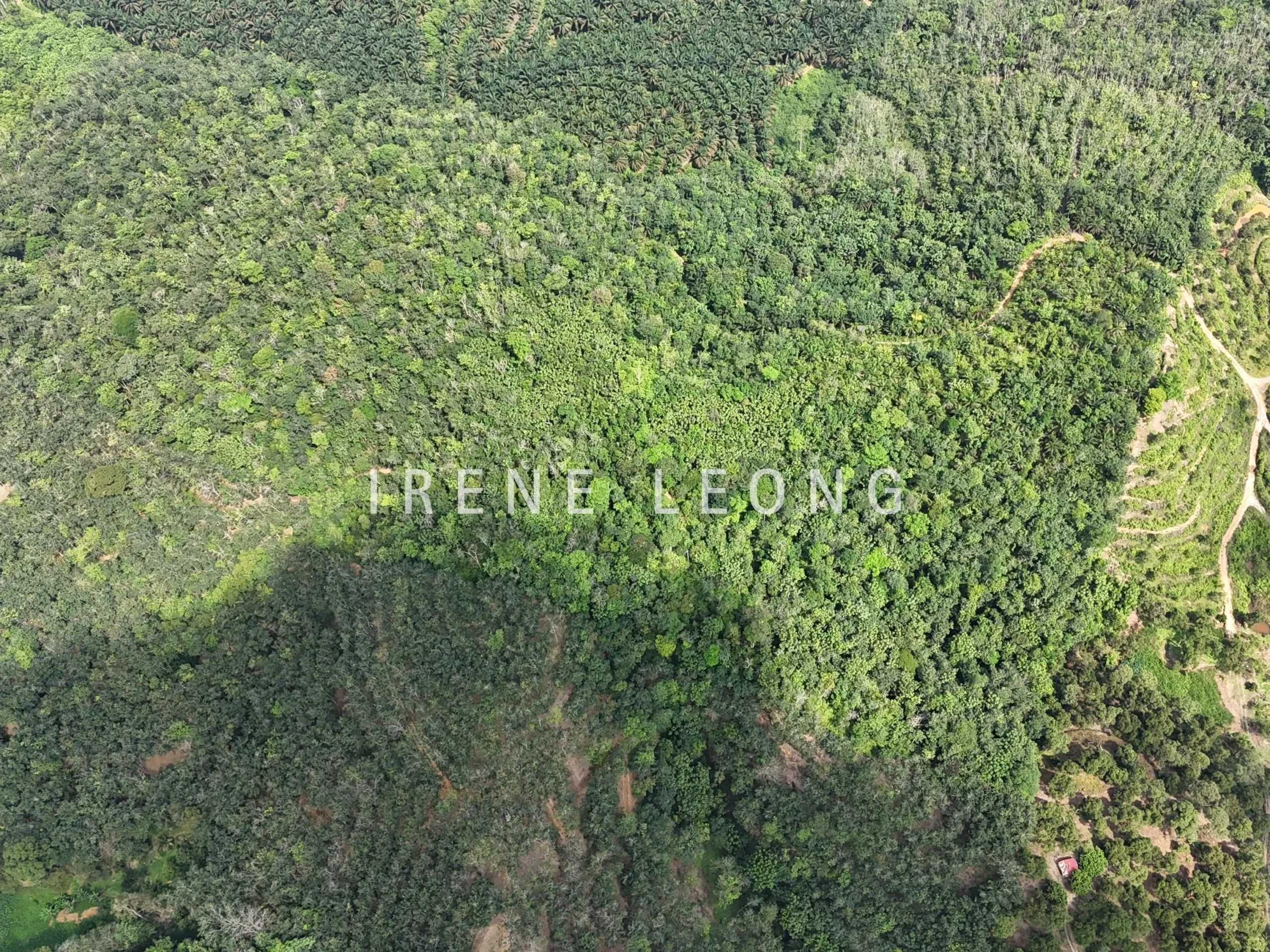 DJI_20250519150831_0038_D-min_cropped