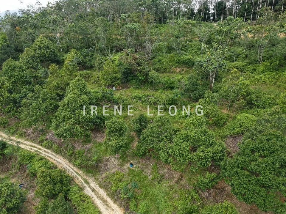 DJI_20260121115400_0047_D
