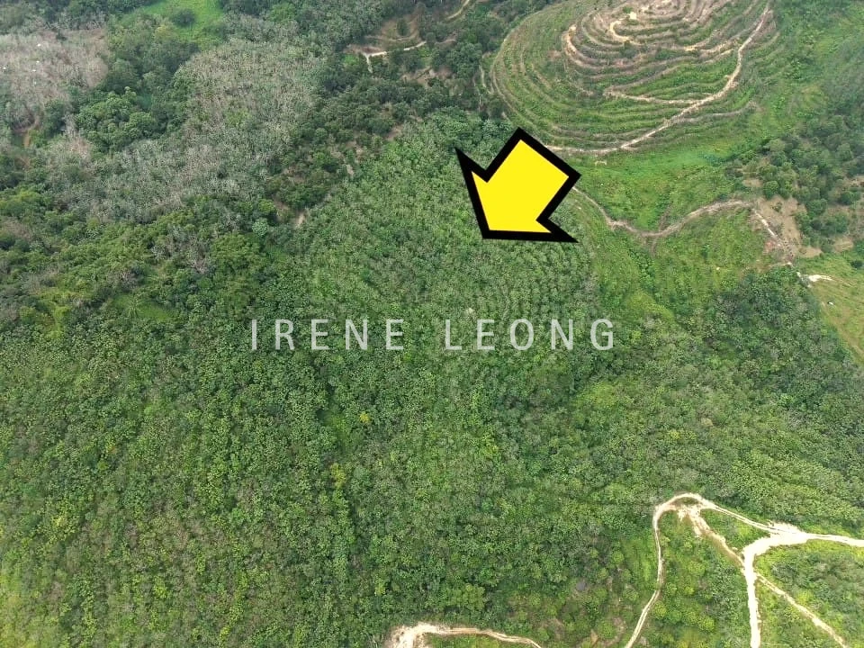 DJI_20260121115939_0050_D_1