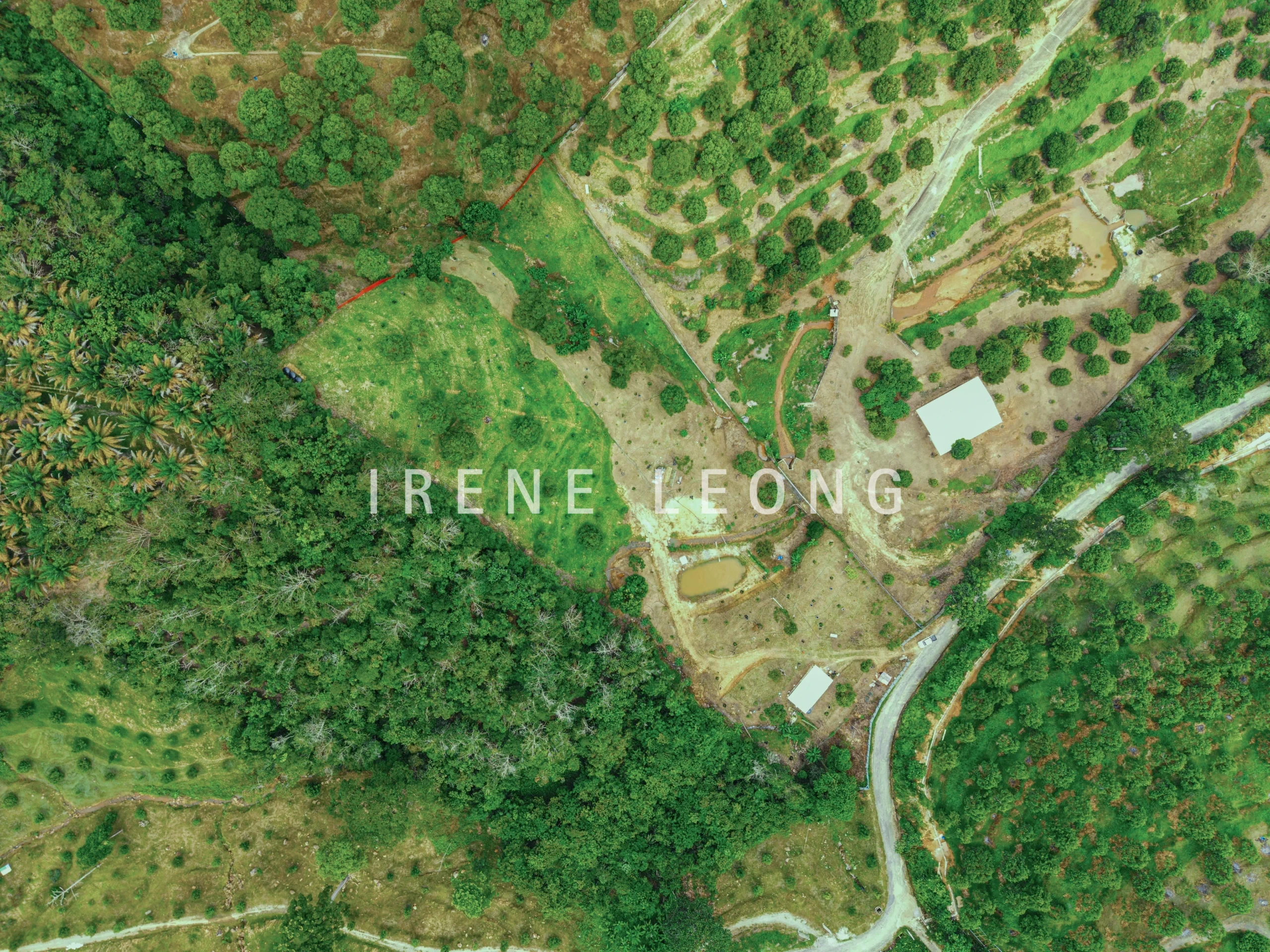 DJI_20260121141106_0071_D