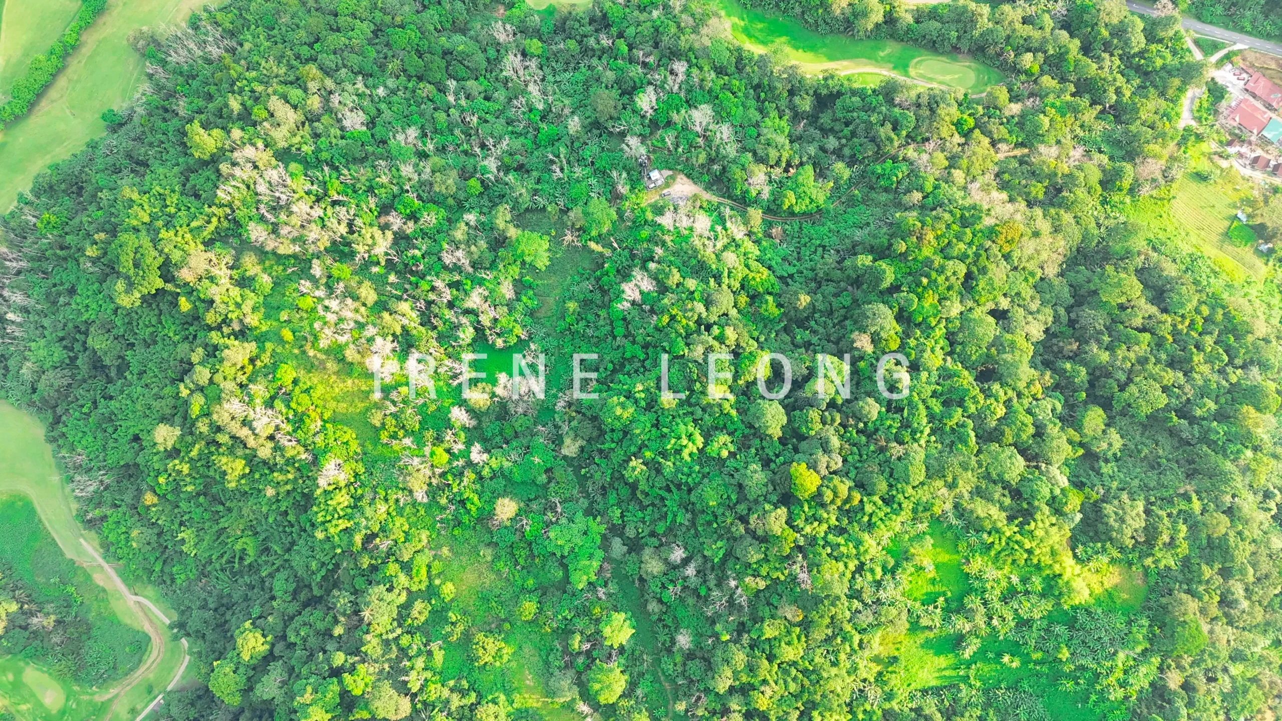 DJI_20260626174813_0922_D