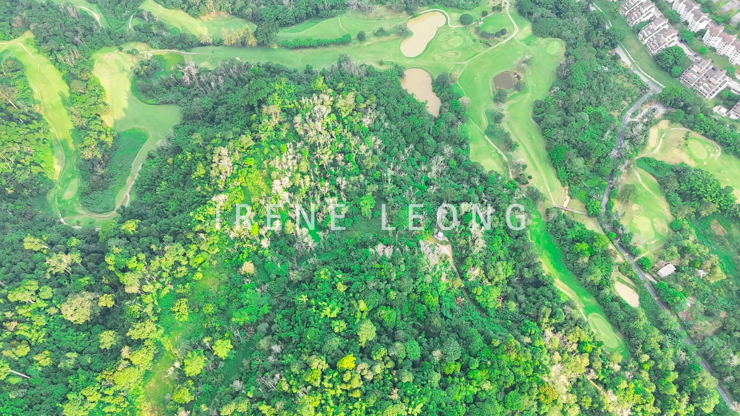 DJI_20260626174846_0925_D