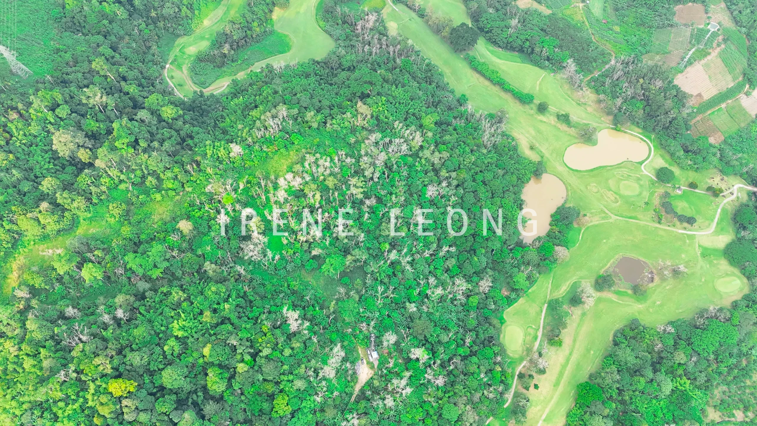 DJI_20260626174916_0926_D