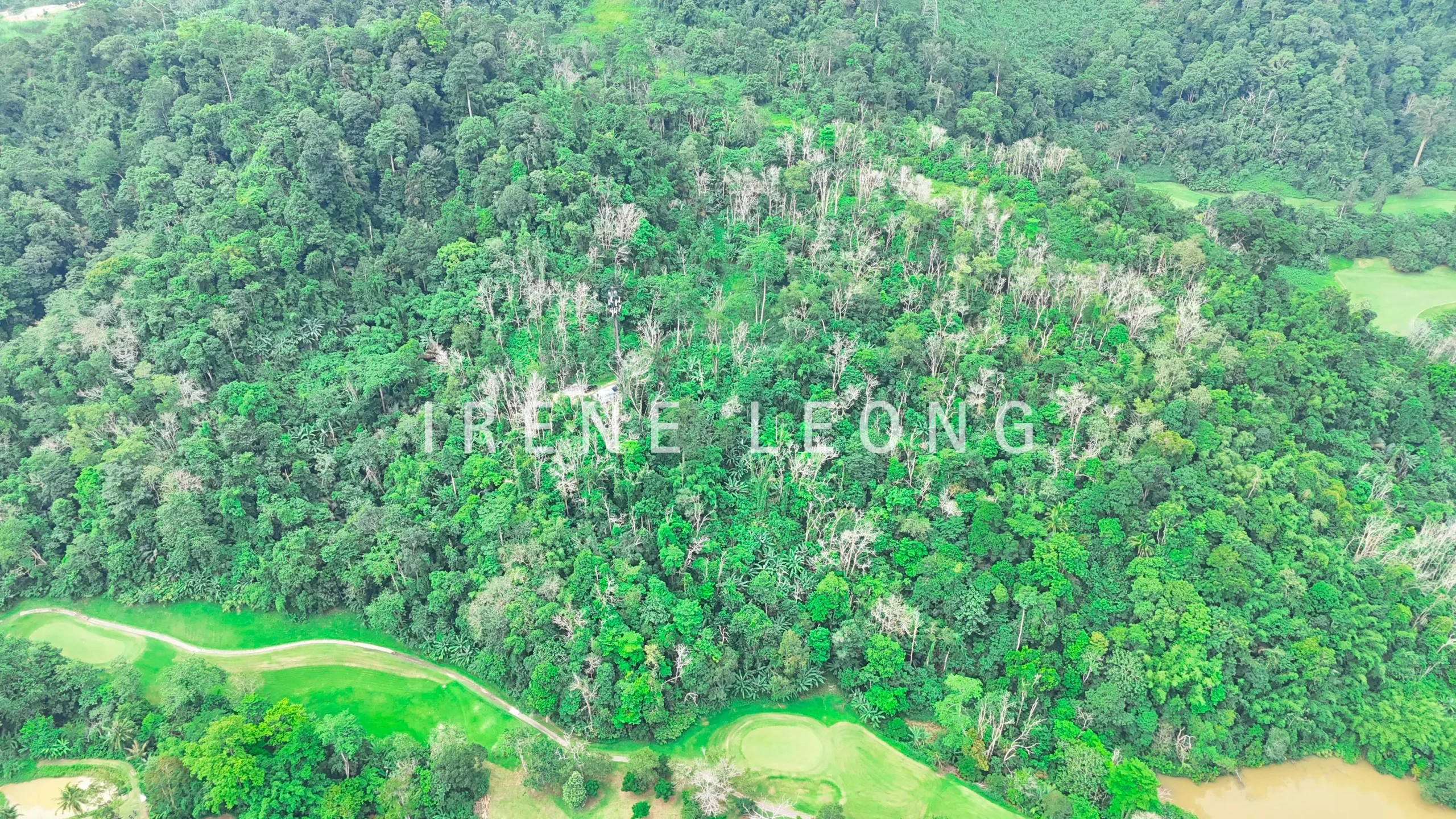 DJI_20260626175049_0934_D