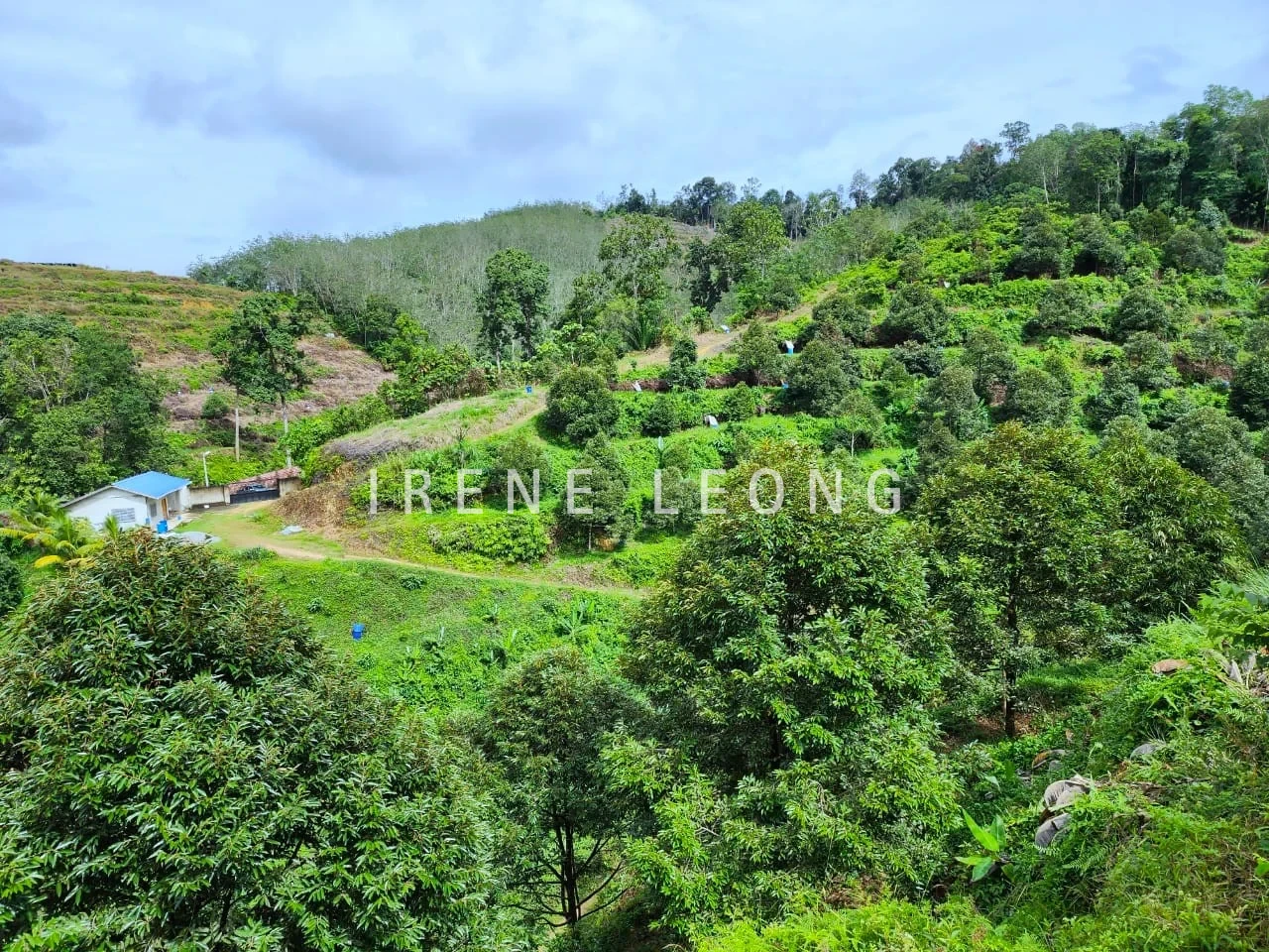IMG-20251216-WA0254