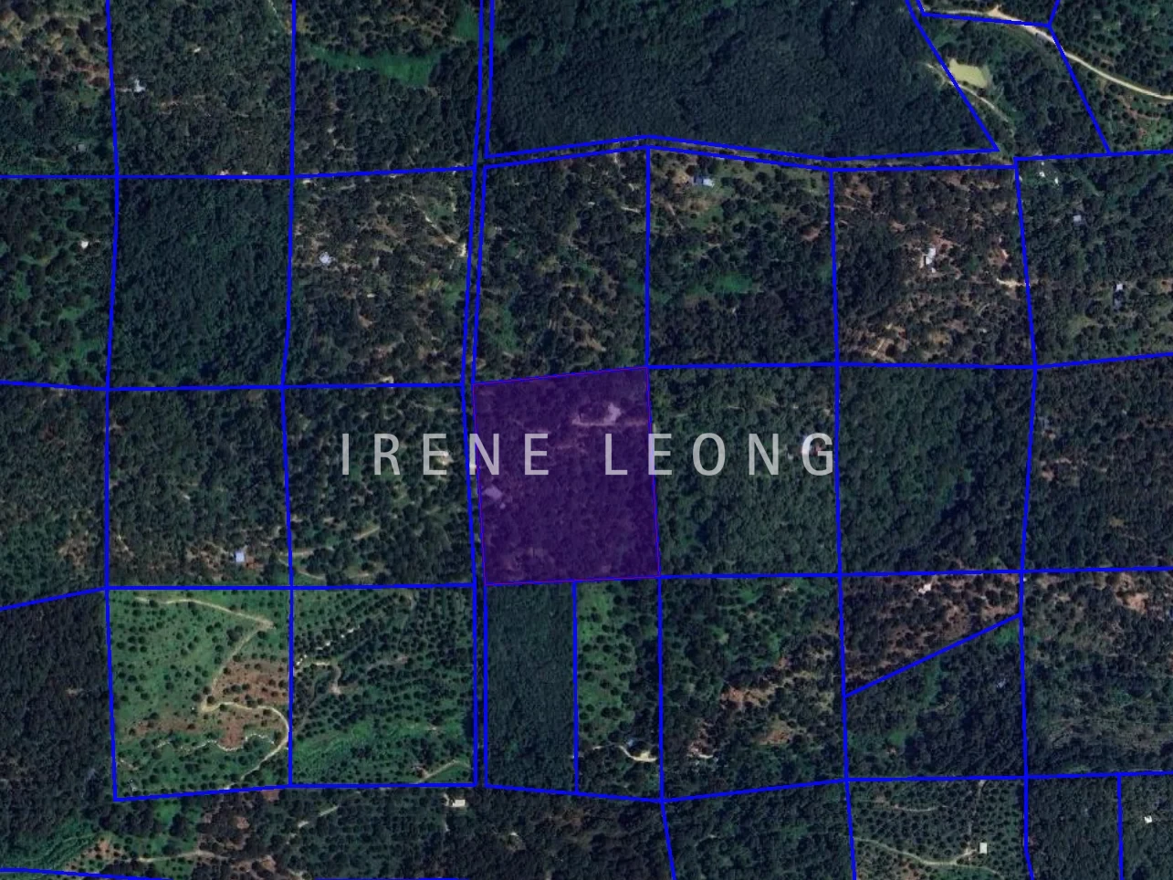 Screenshot 2026-05-22 150339