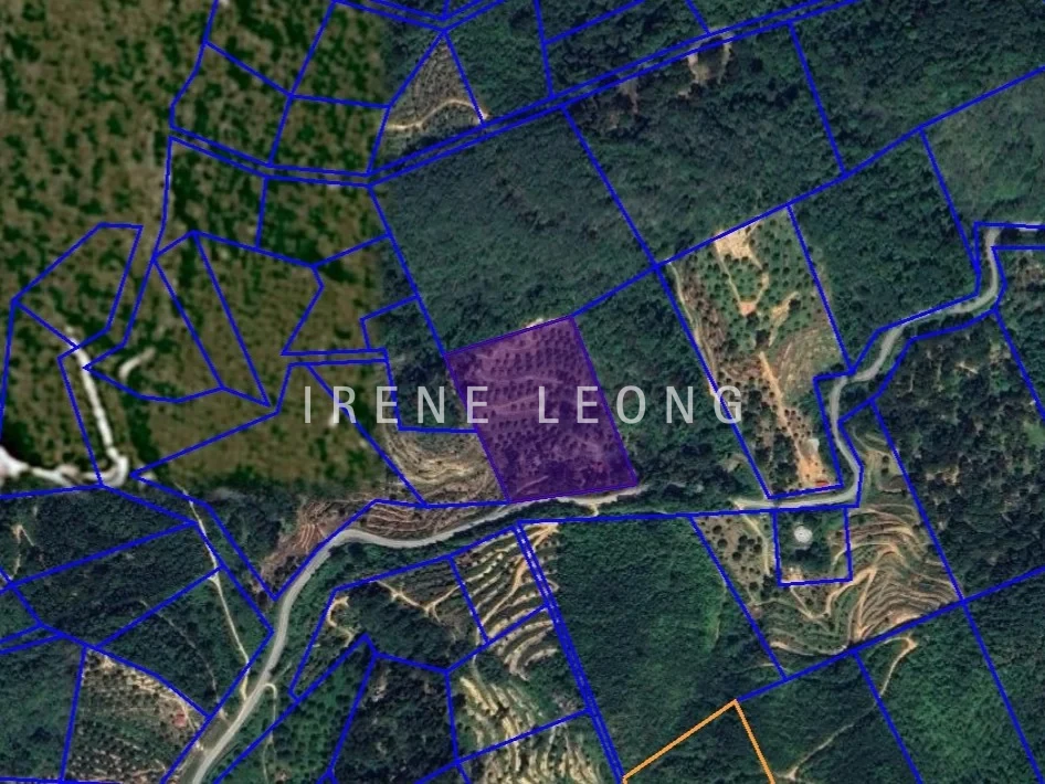 Screenshot 2026-05-30 091444
