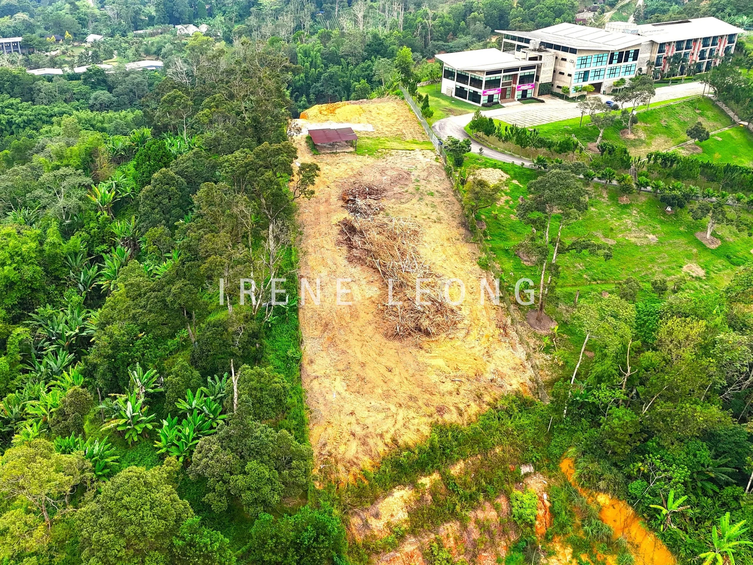 dji_fly_20240712_185710_0487_1720952707984_photo-crushimage_cropped
