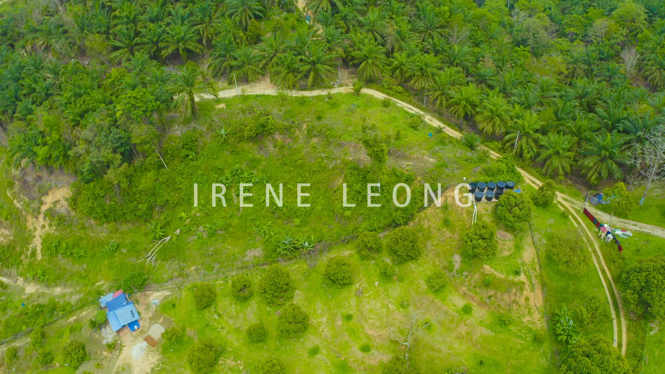 DJI_0081 - frame at 1m23s