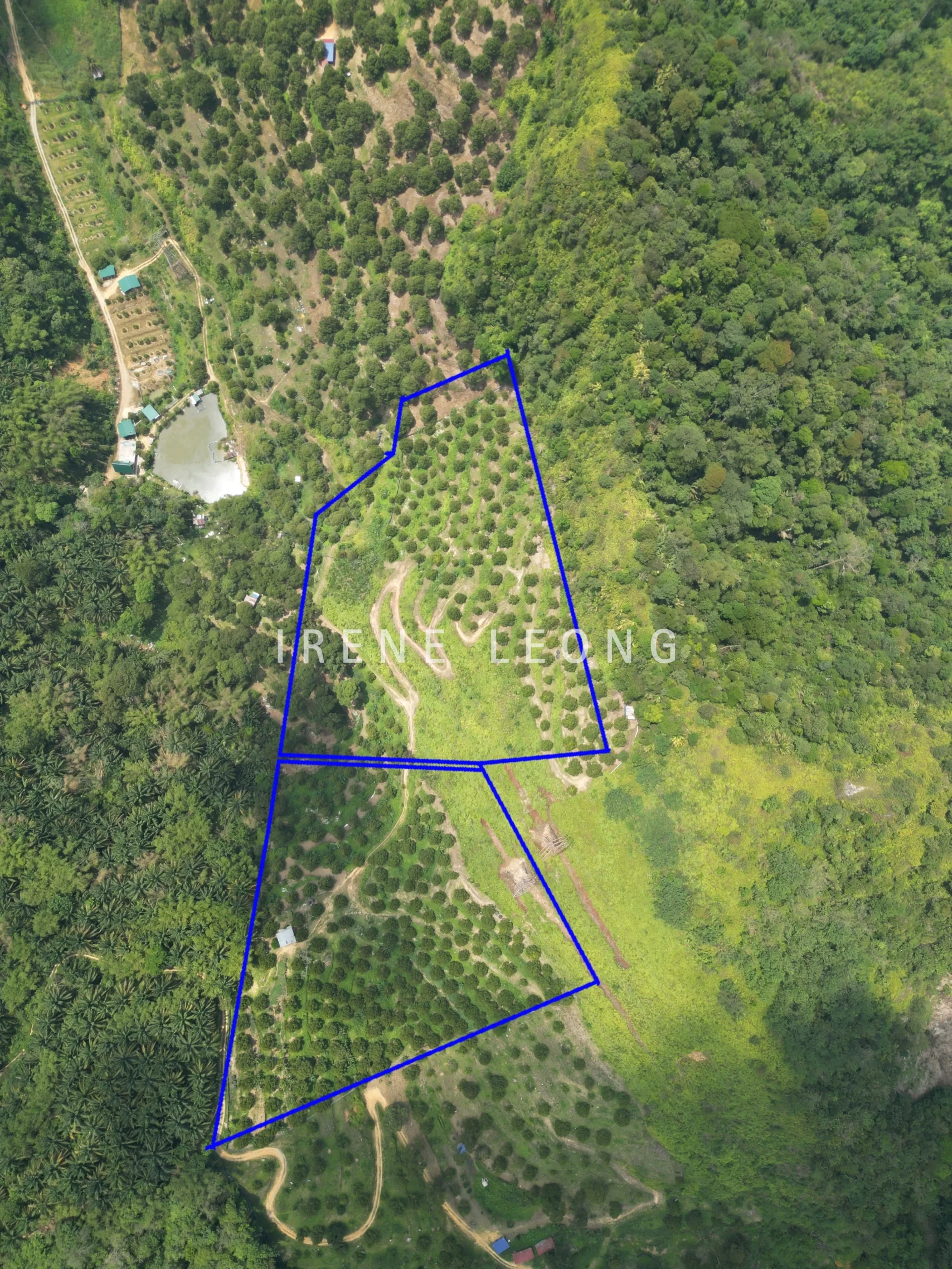 DJI_0478-1