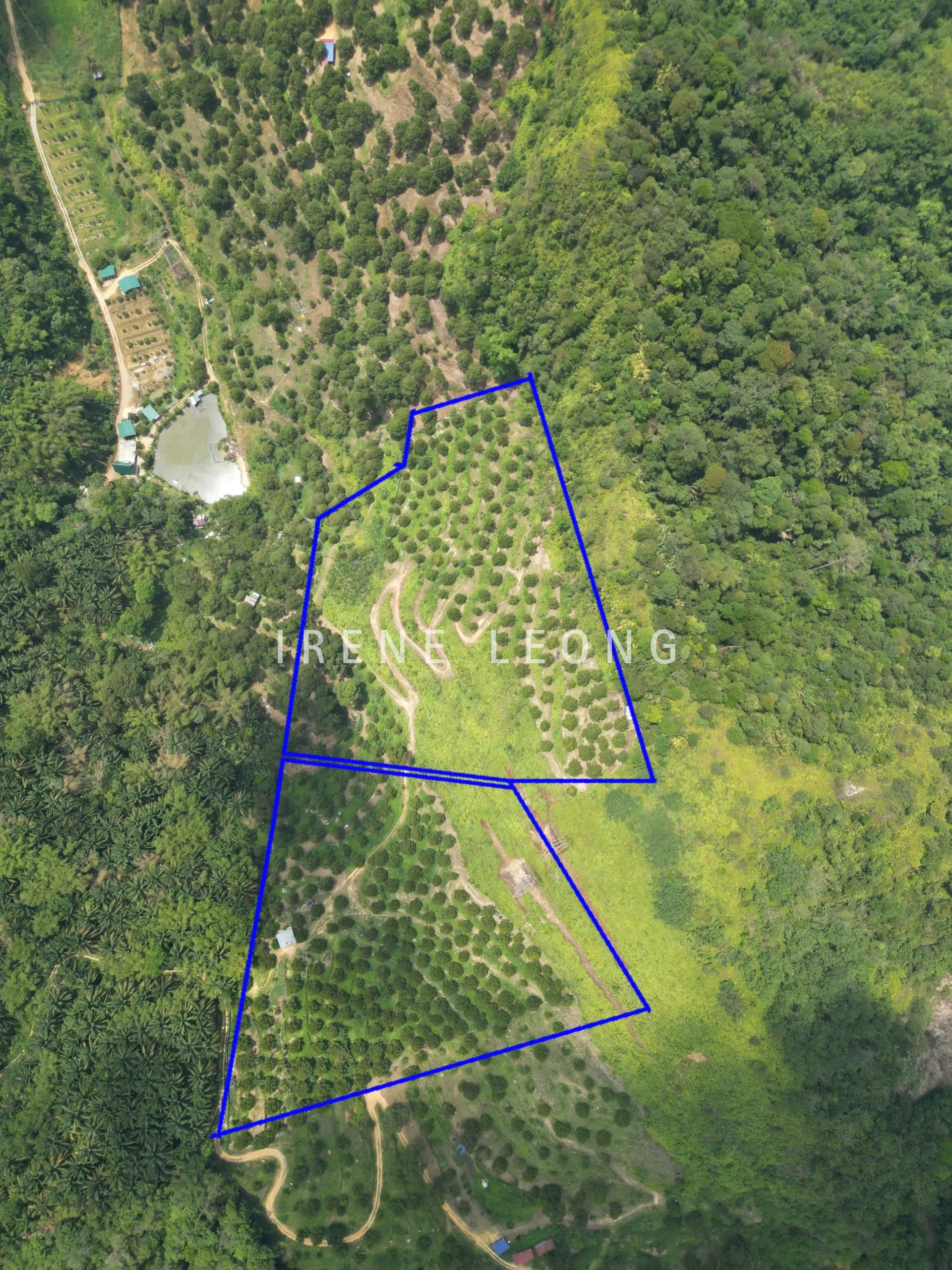 DJI_0478-2
