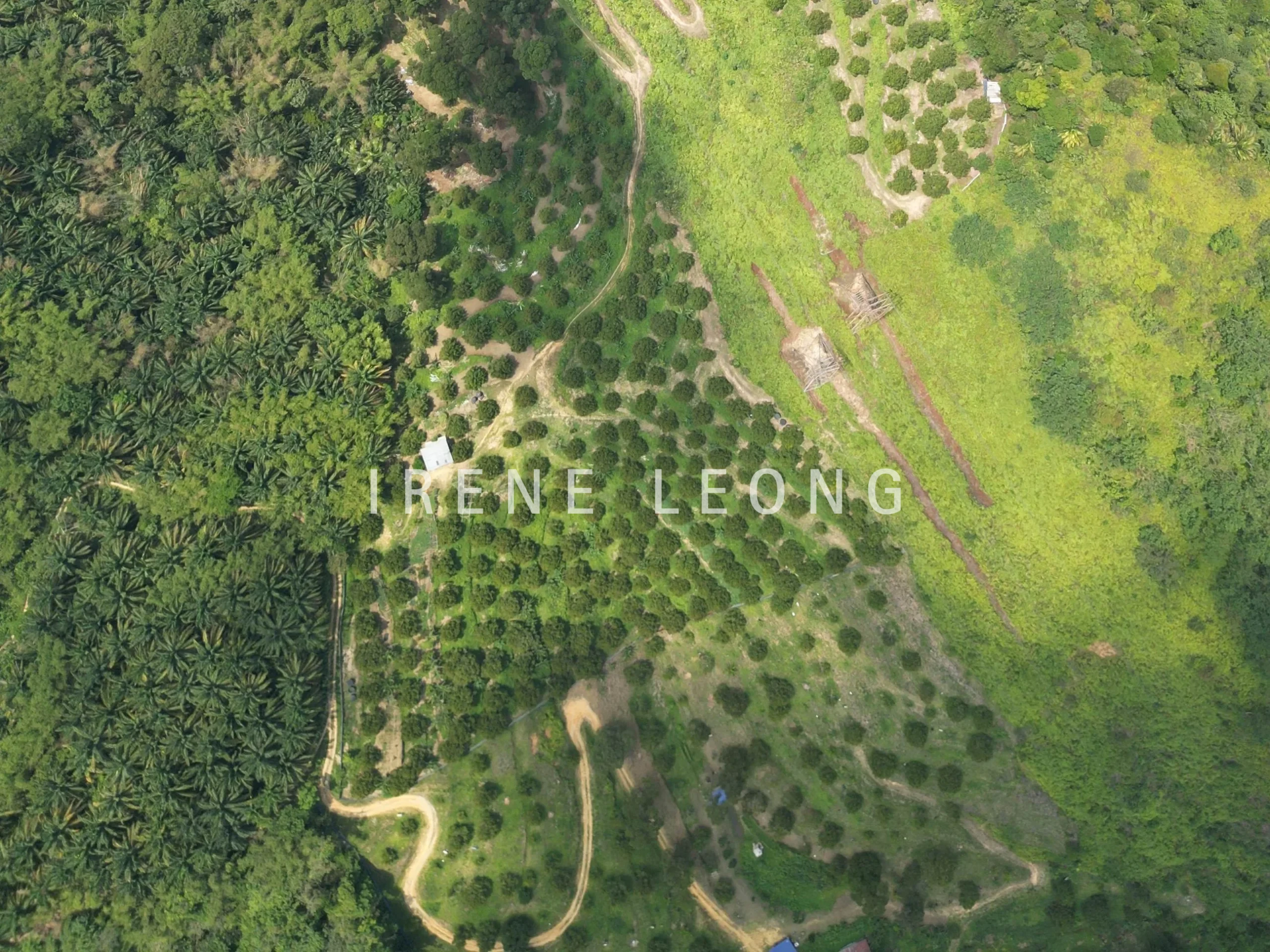 DJI_0479