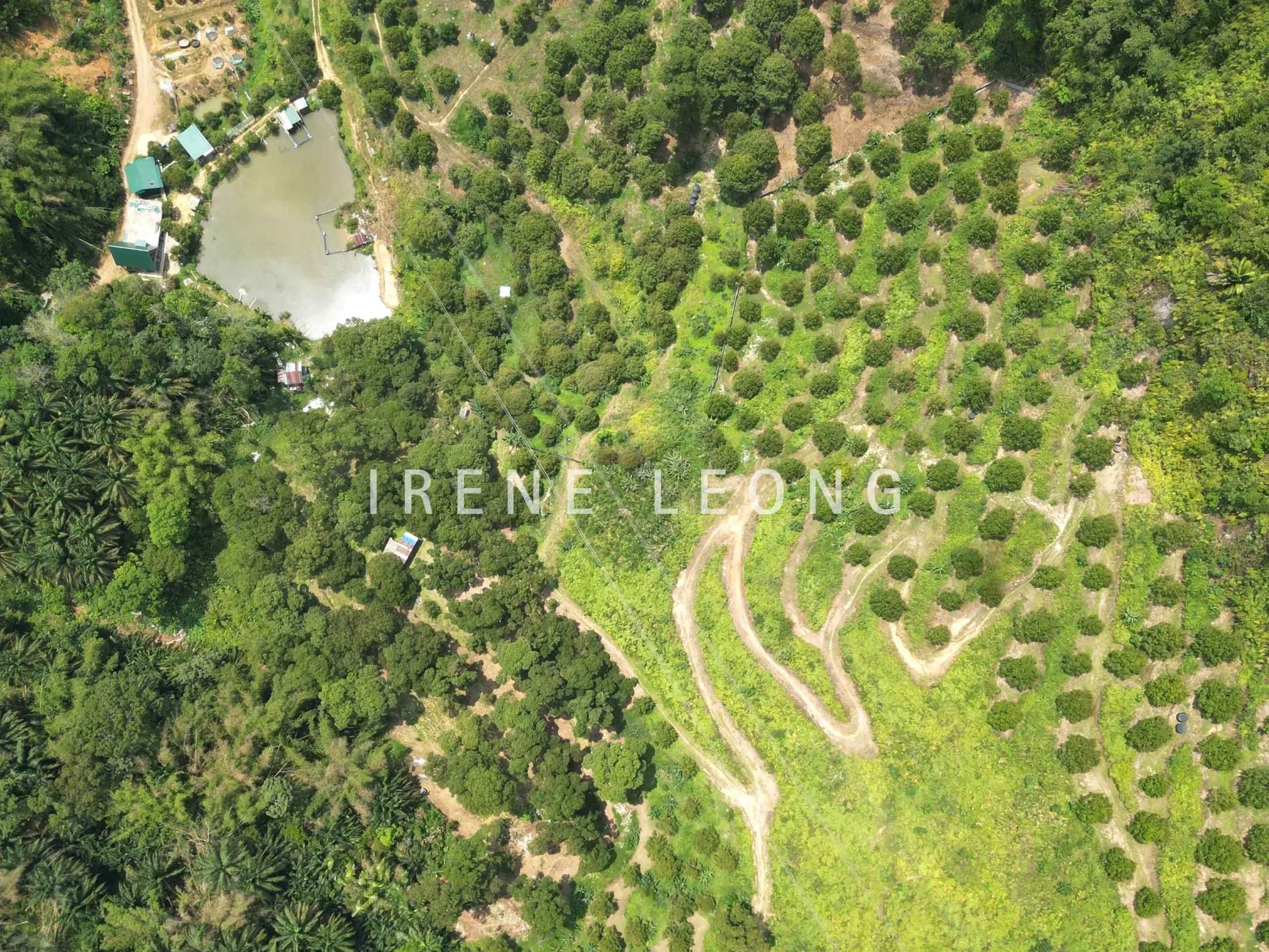 DJI_0481