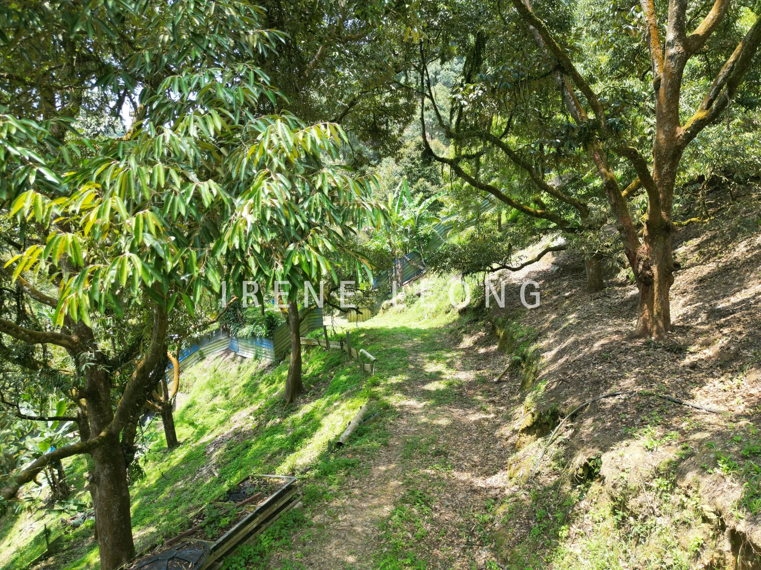DJI_0502