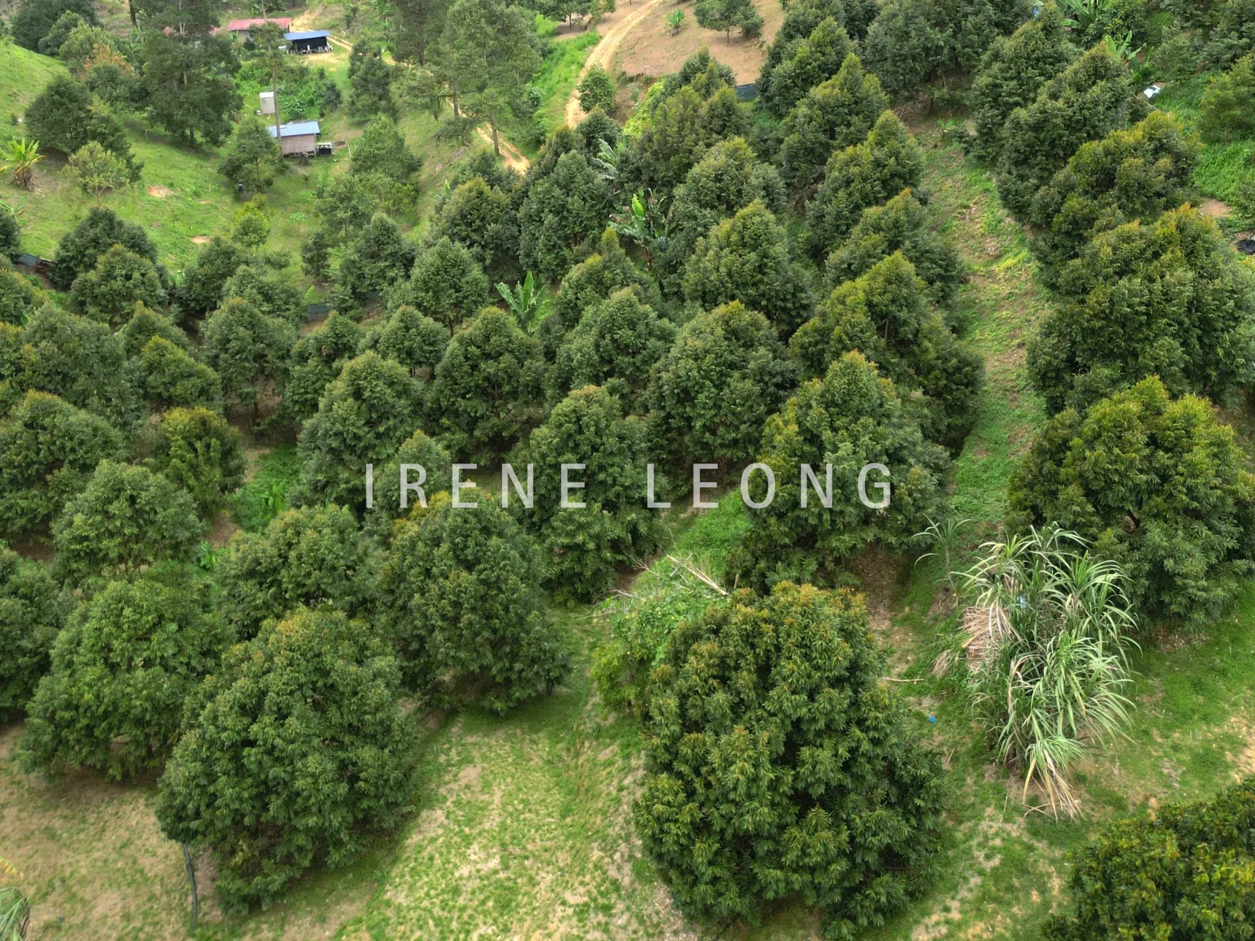 DJI_0531
