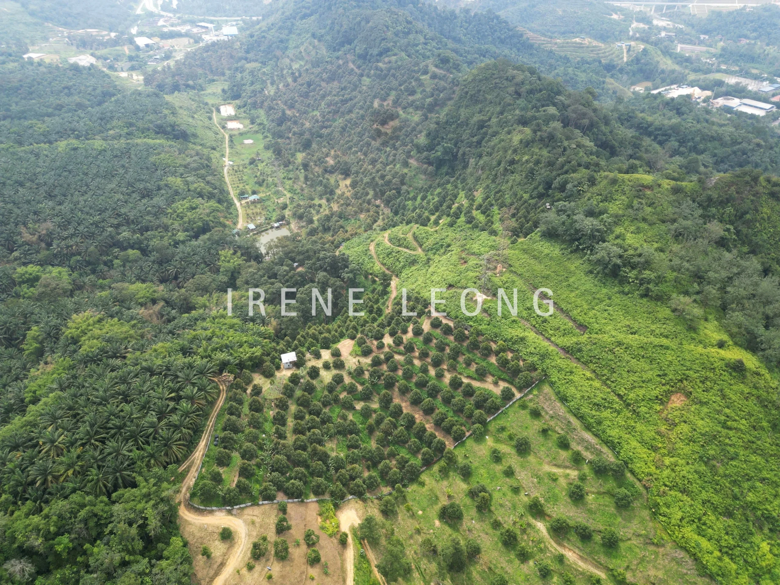 DJI_0559