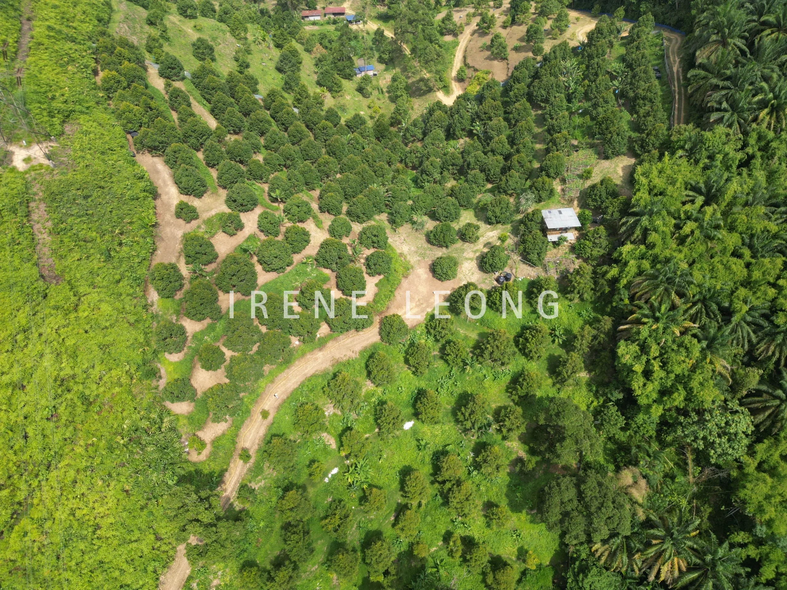 DJI_0603